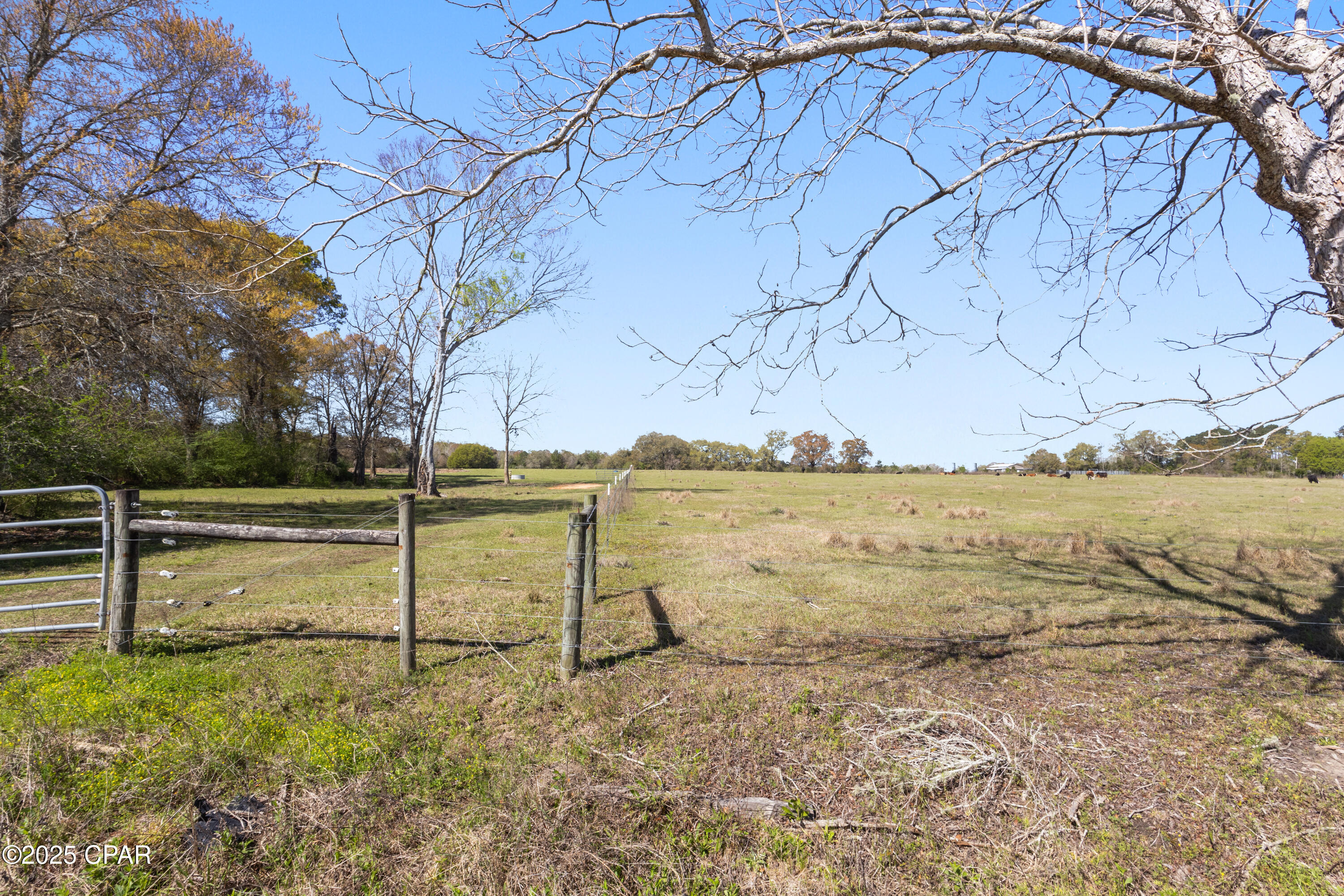 Homes for sale in Graceville, FL | Tbd Orchard Rd Rd, Graceville, FL 32440 | MLS# 770749