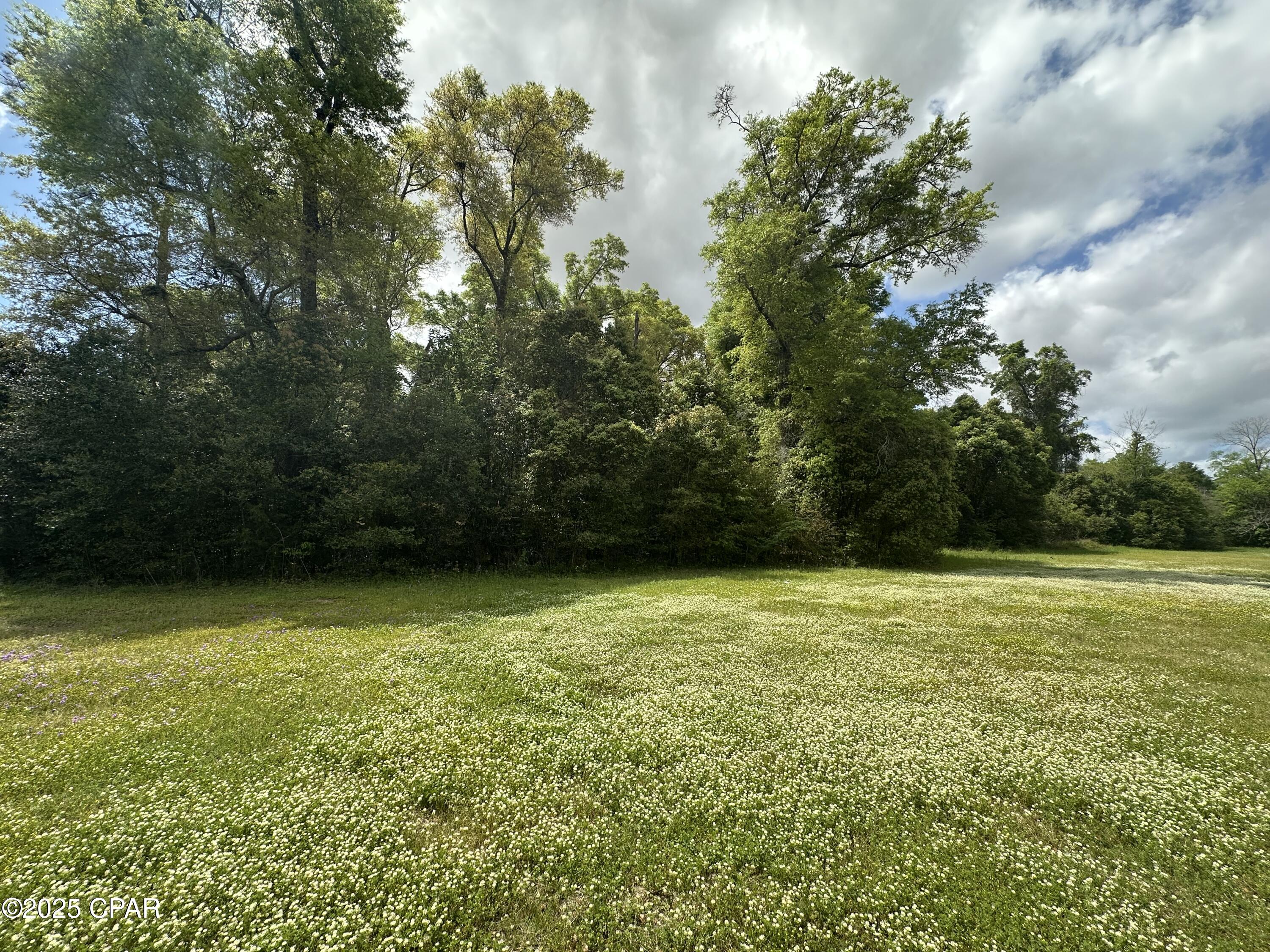 Image 16 For 0000 Fort Road