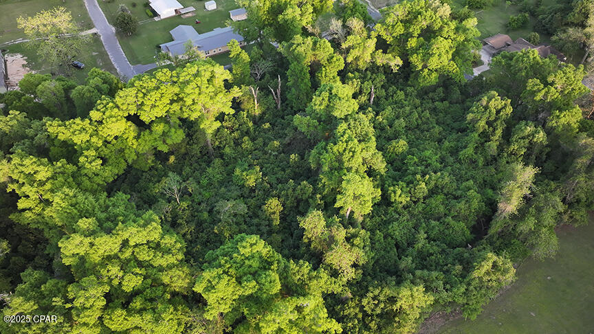 Image 17 For 0000 Fort Road