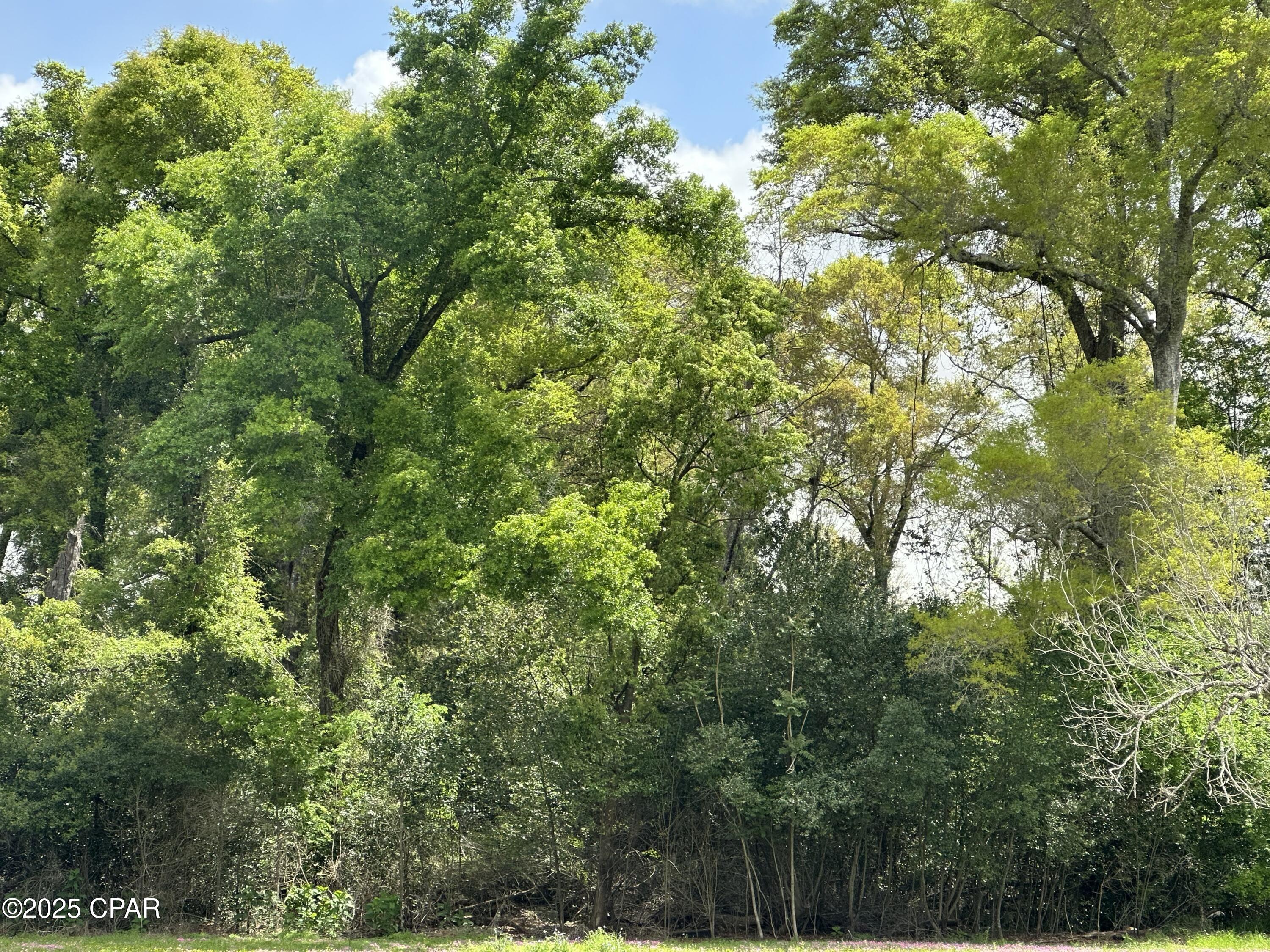 Image 5 For 0000 Fort Road