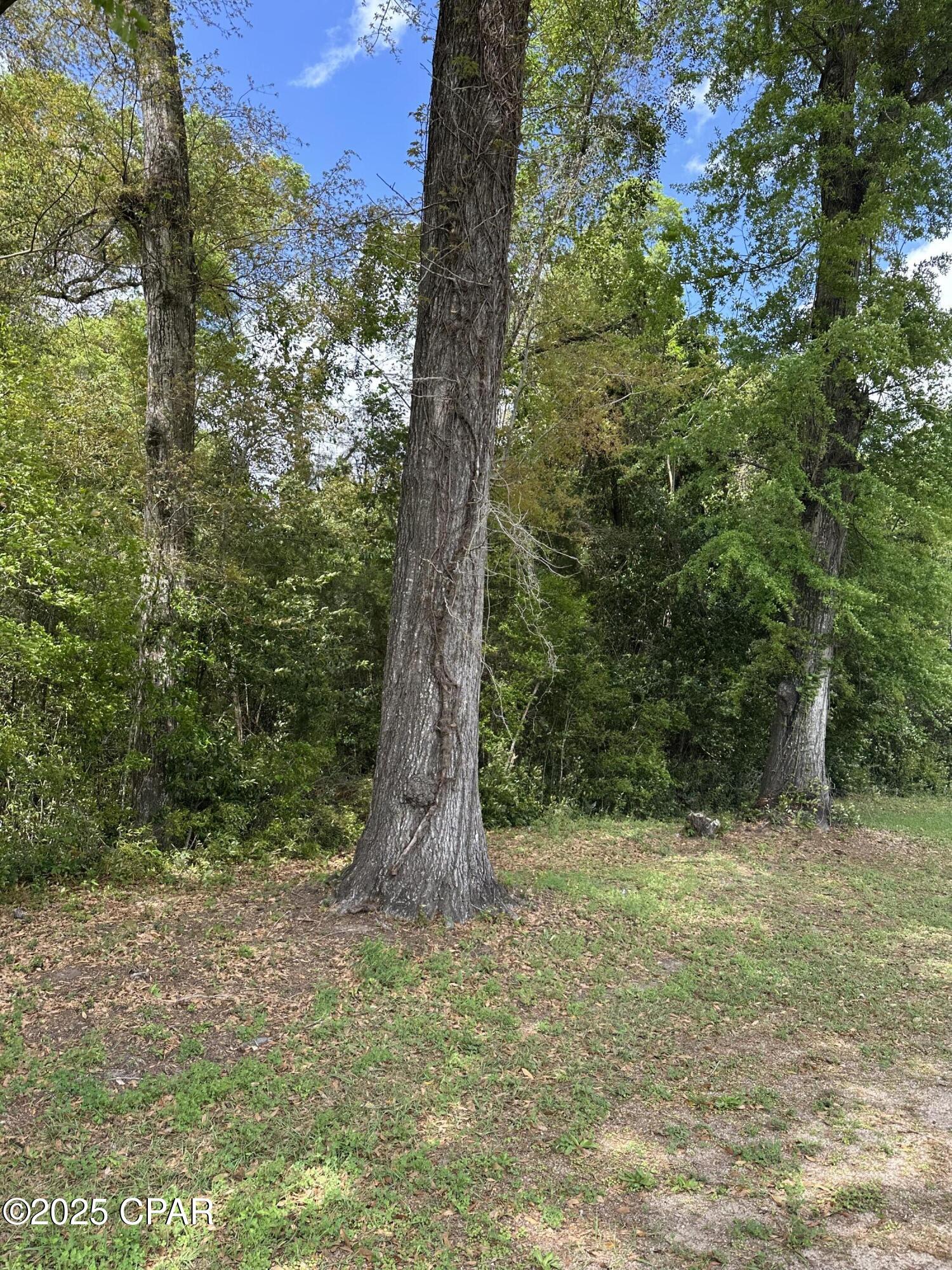 Image 8 For 0000 Fort Road