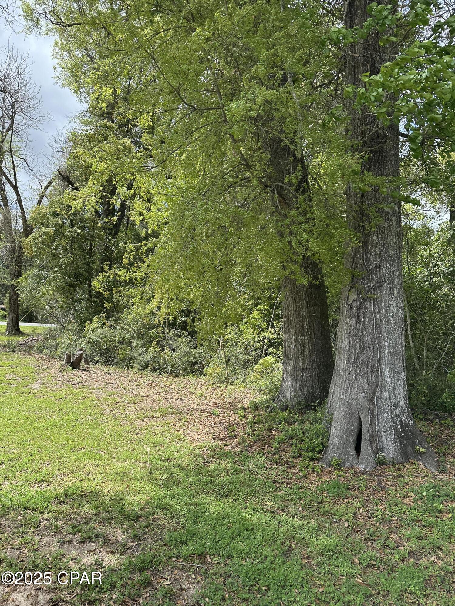 Image 9 For 0000 Fort Road