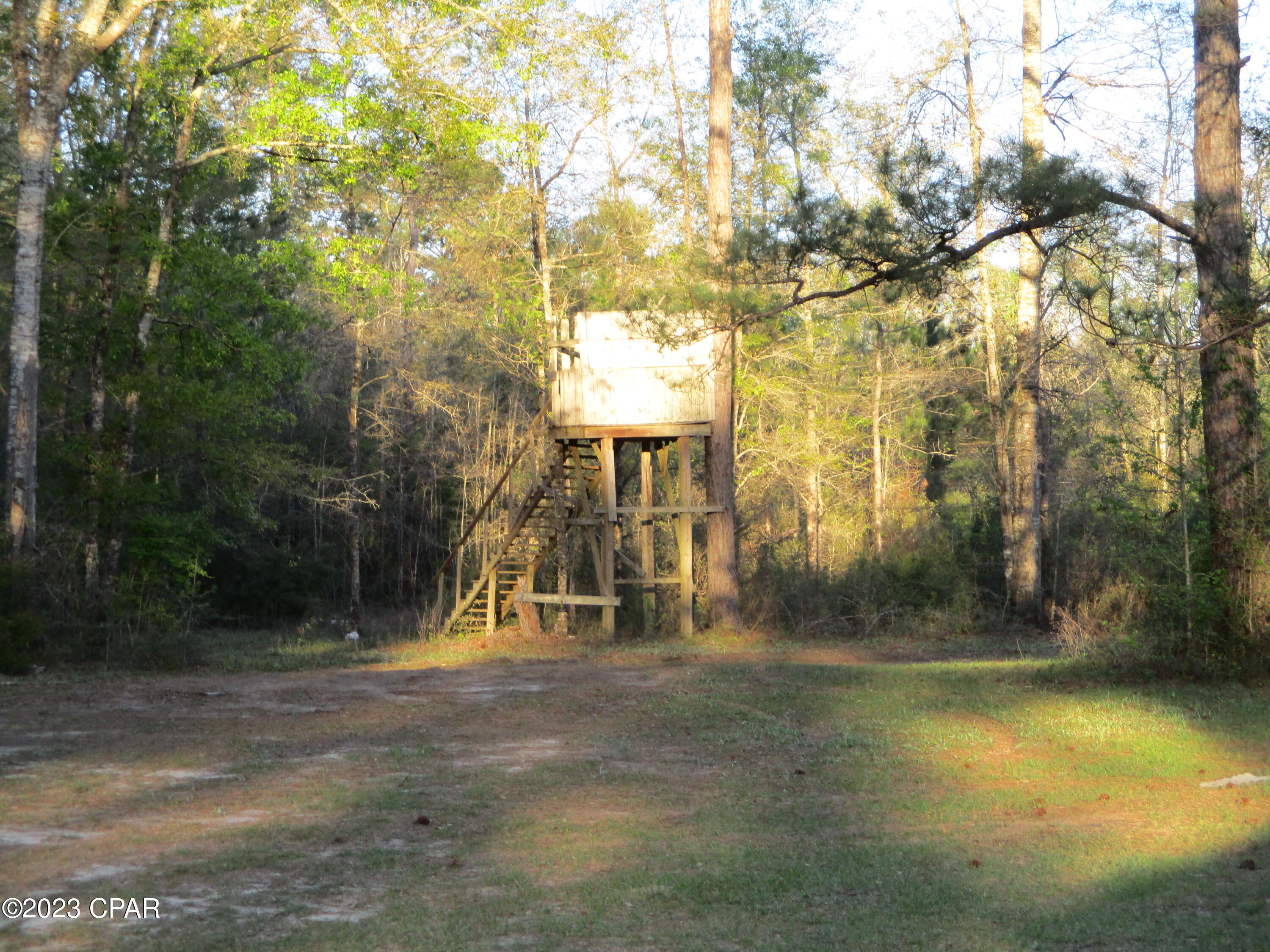 Image 11 For 3835 Highway 77