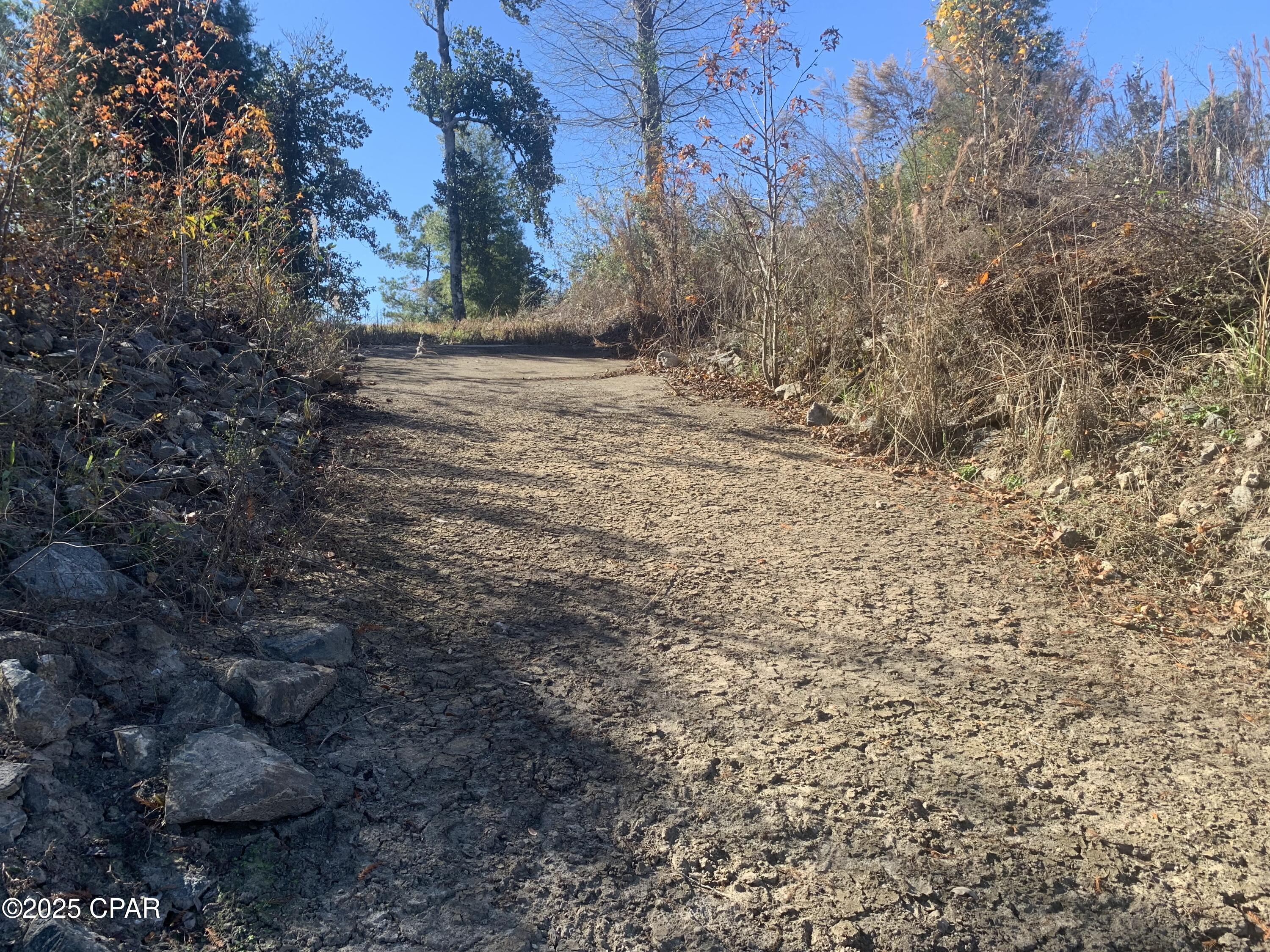 Image 10 For 000 Missy Lane