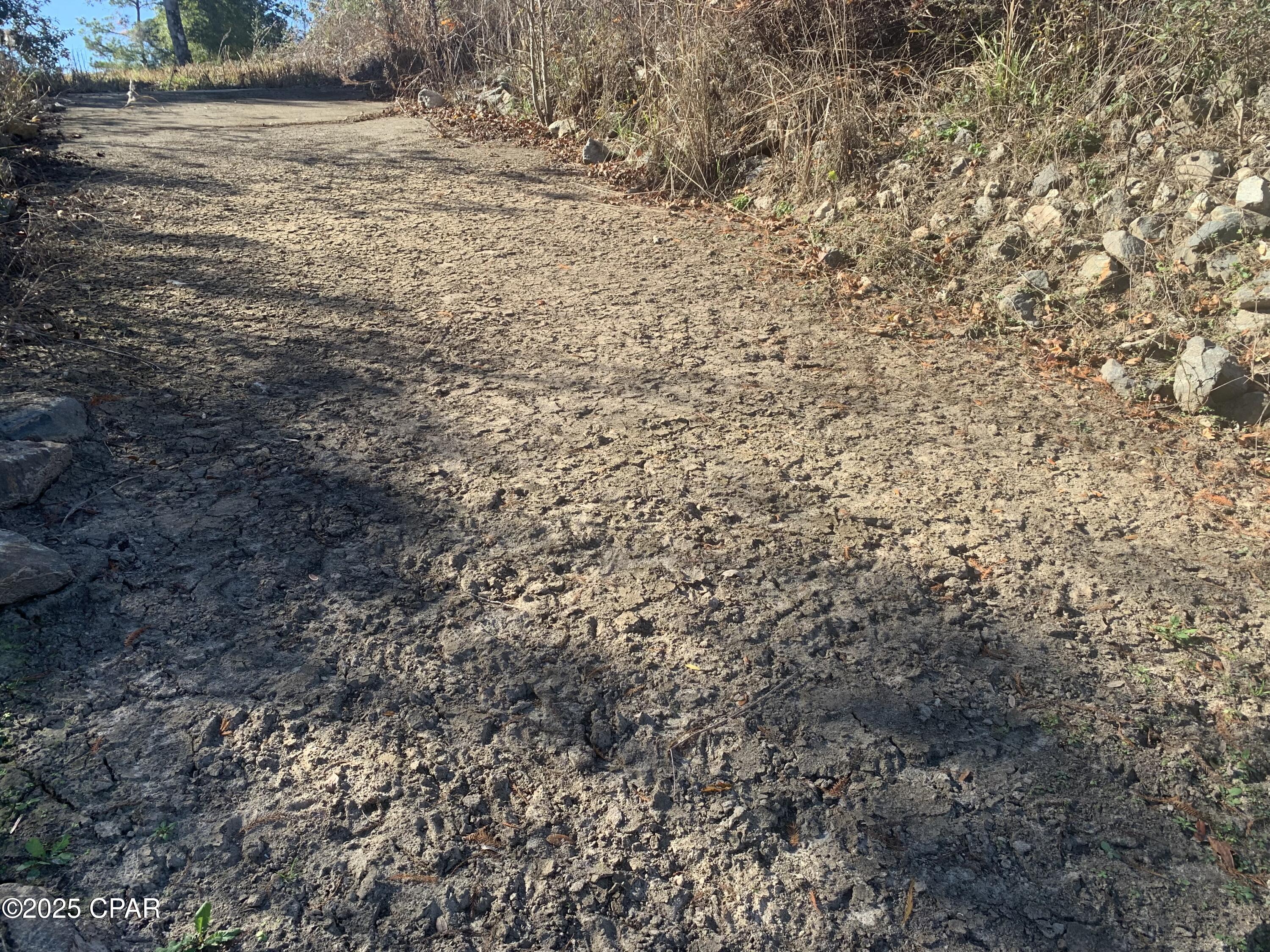 Image 11 For 000 Missy Lane