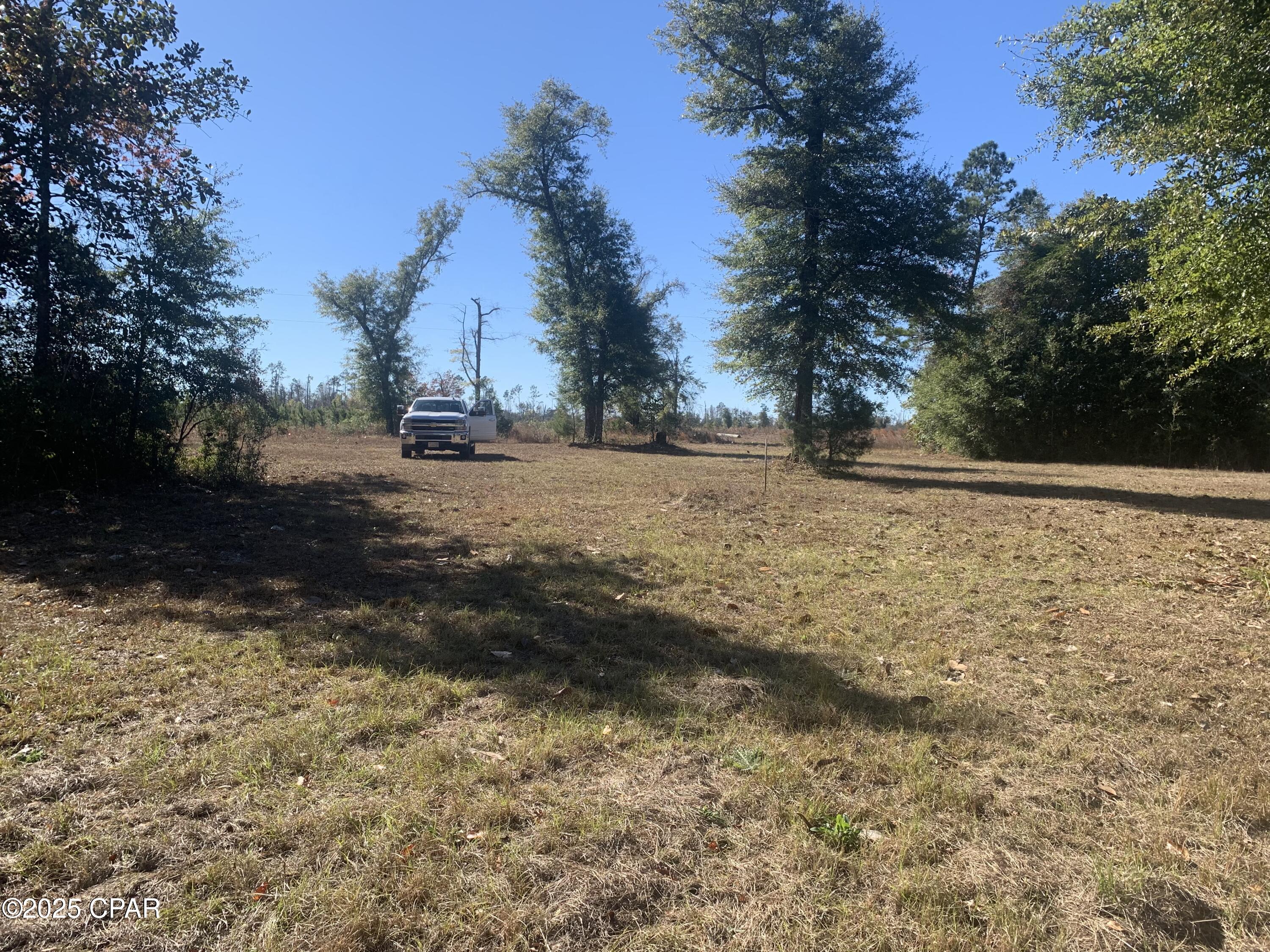 Image 12 For 000 Missy Lane