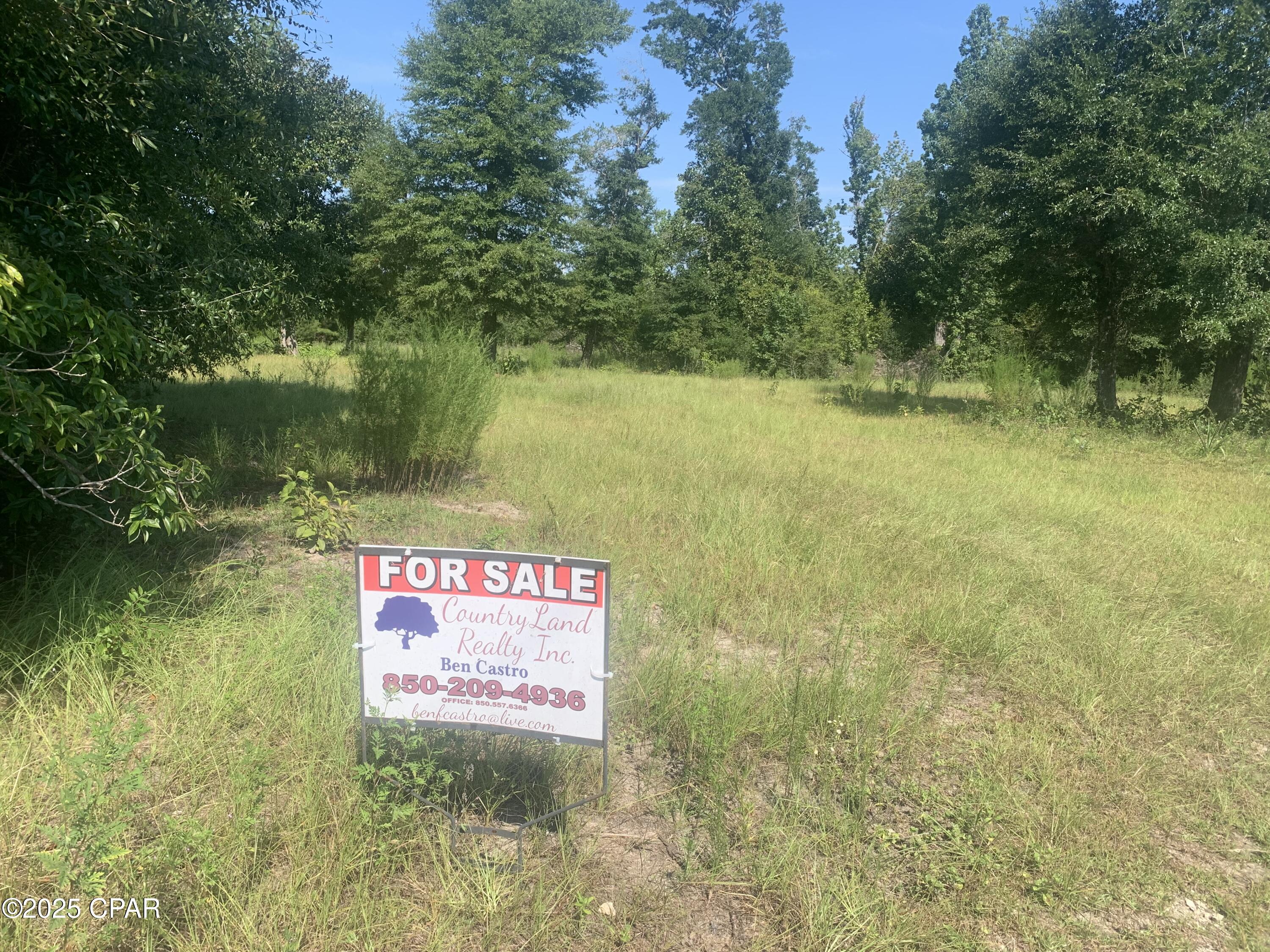 Image 13 For 000 Missy Lane