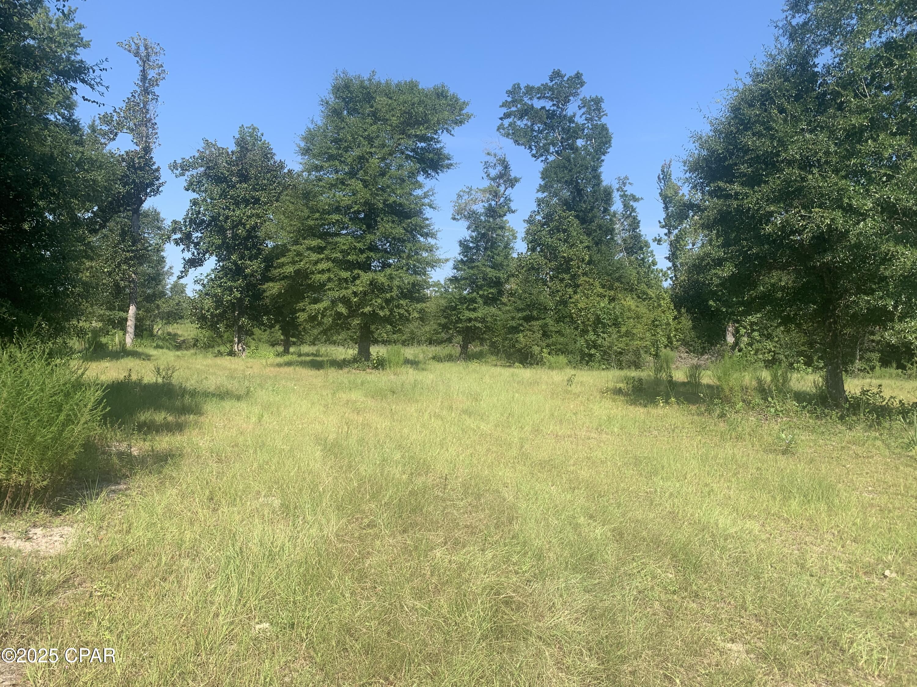 Image 14 For 000 Missy Lane