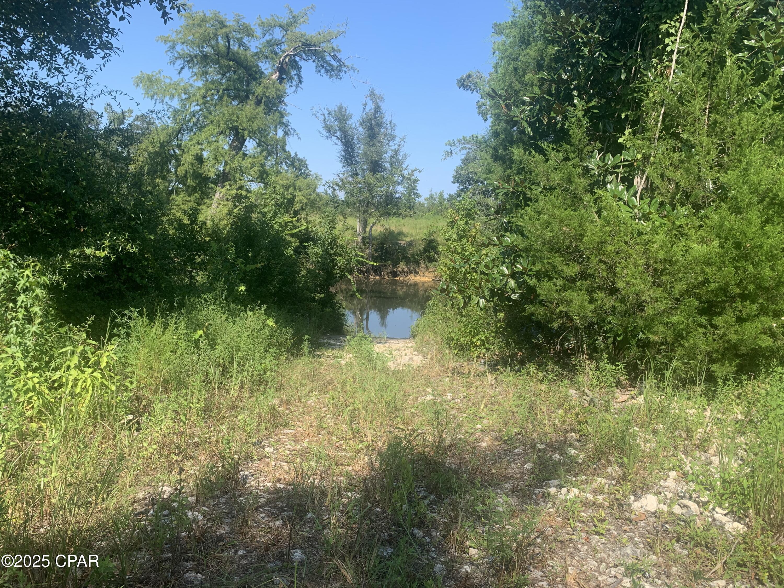 Image 15 For 000 Missy Lane