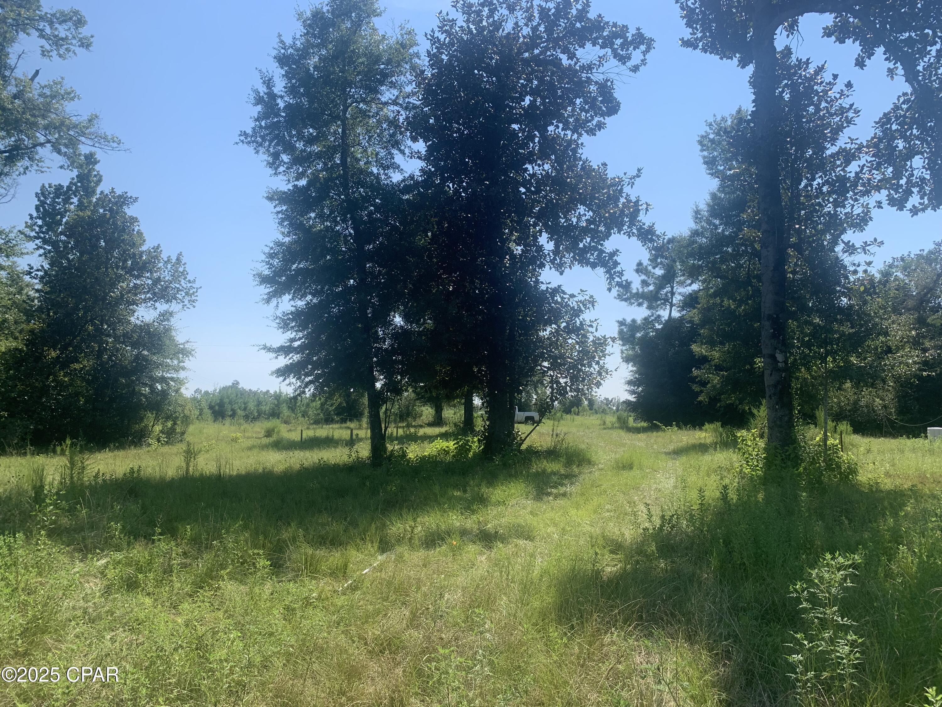 Image 16 For 000 Missy Lane