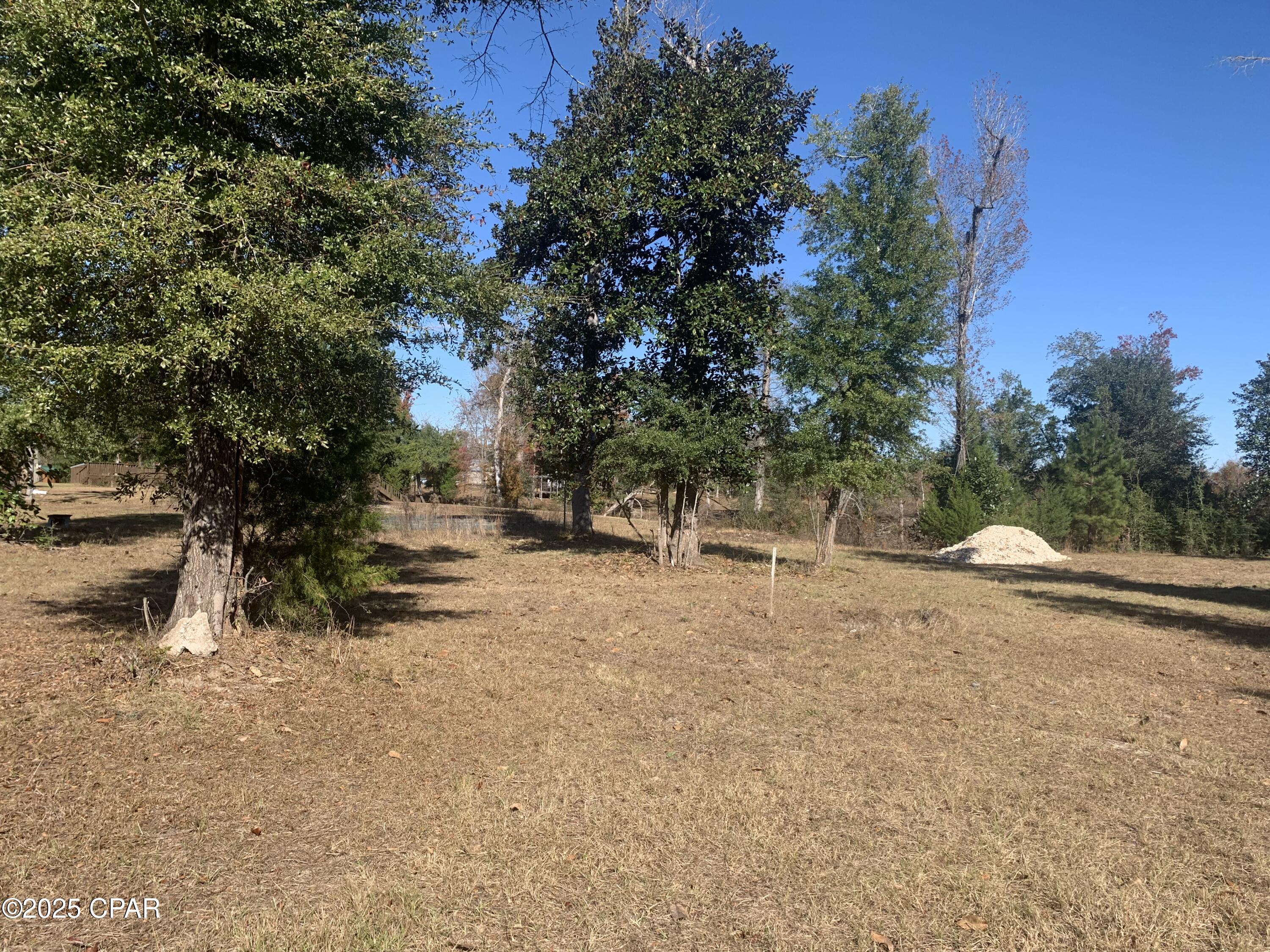 Image 7 For 000 Missy Lane