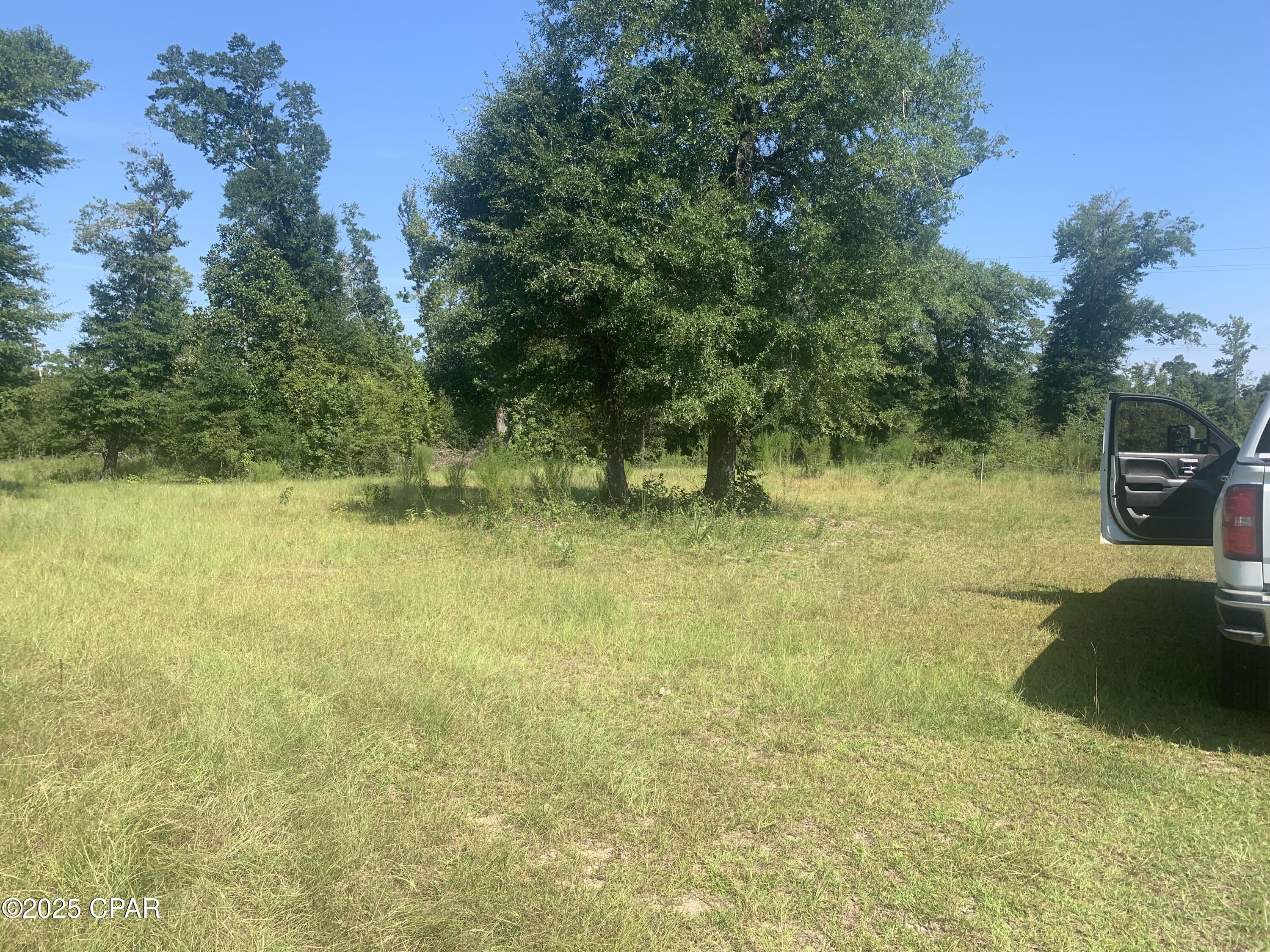 Image 9 For 000 Missy Lane