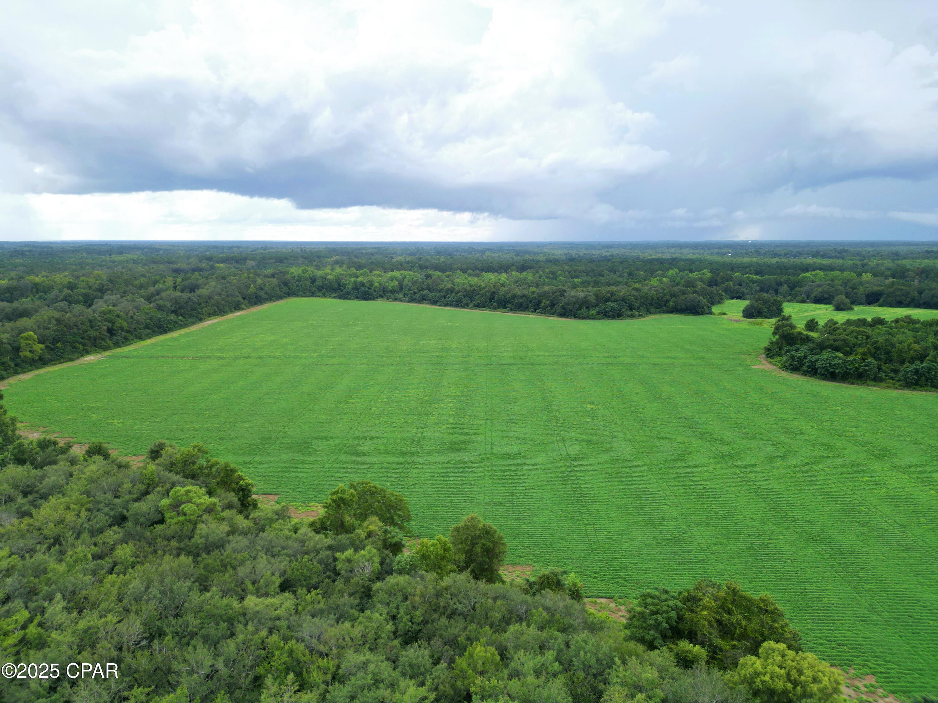 Image 4 For 0 Juniper Creek Road