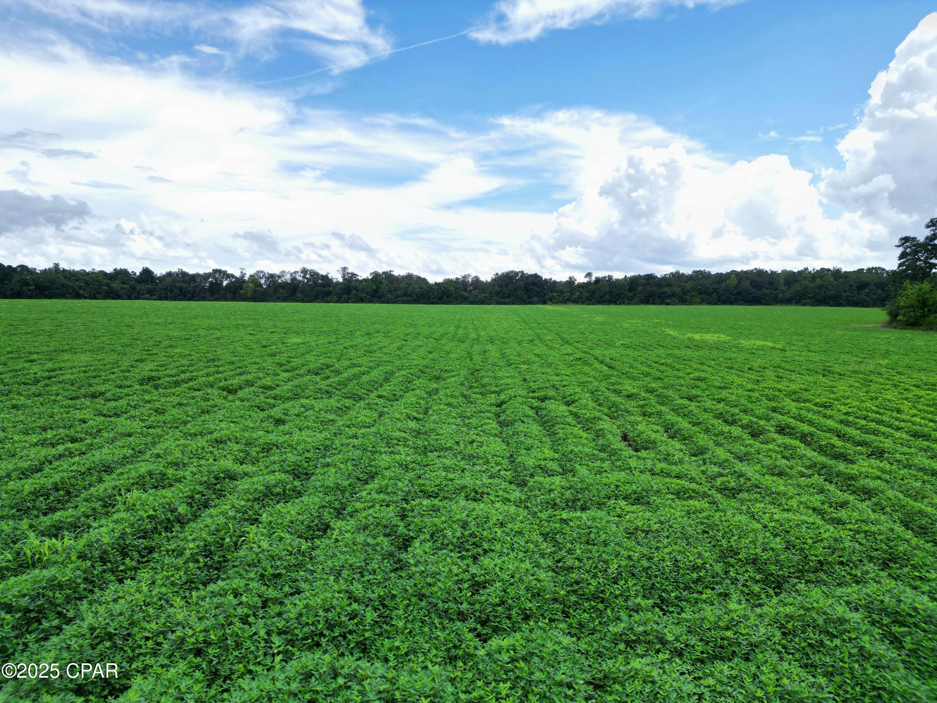 Image 5 For 0 Juniper Creek Road