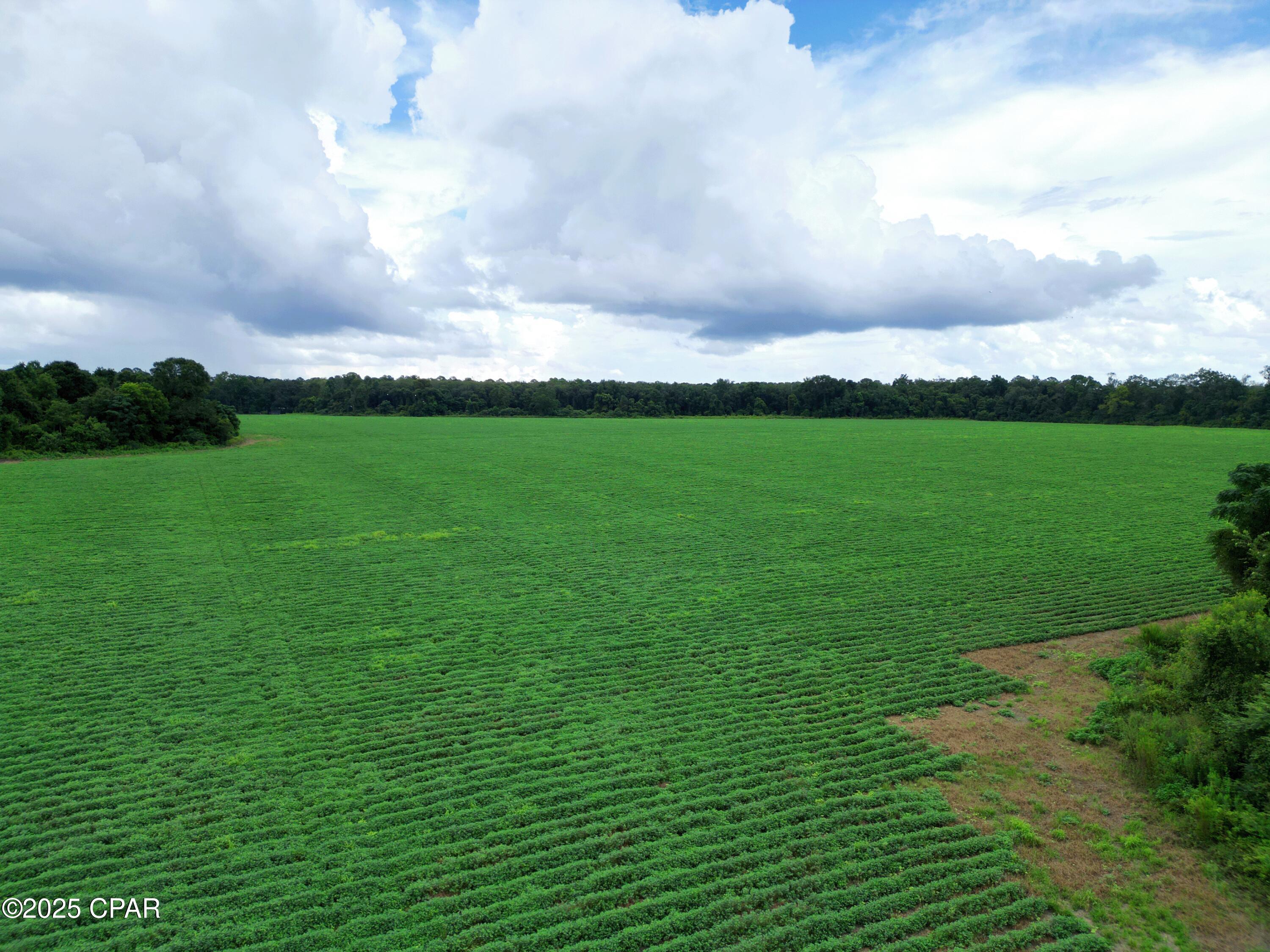 Image 7 For 0 Juniper Creek Road