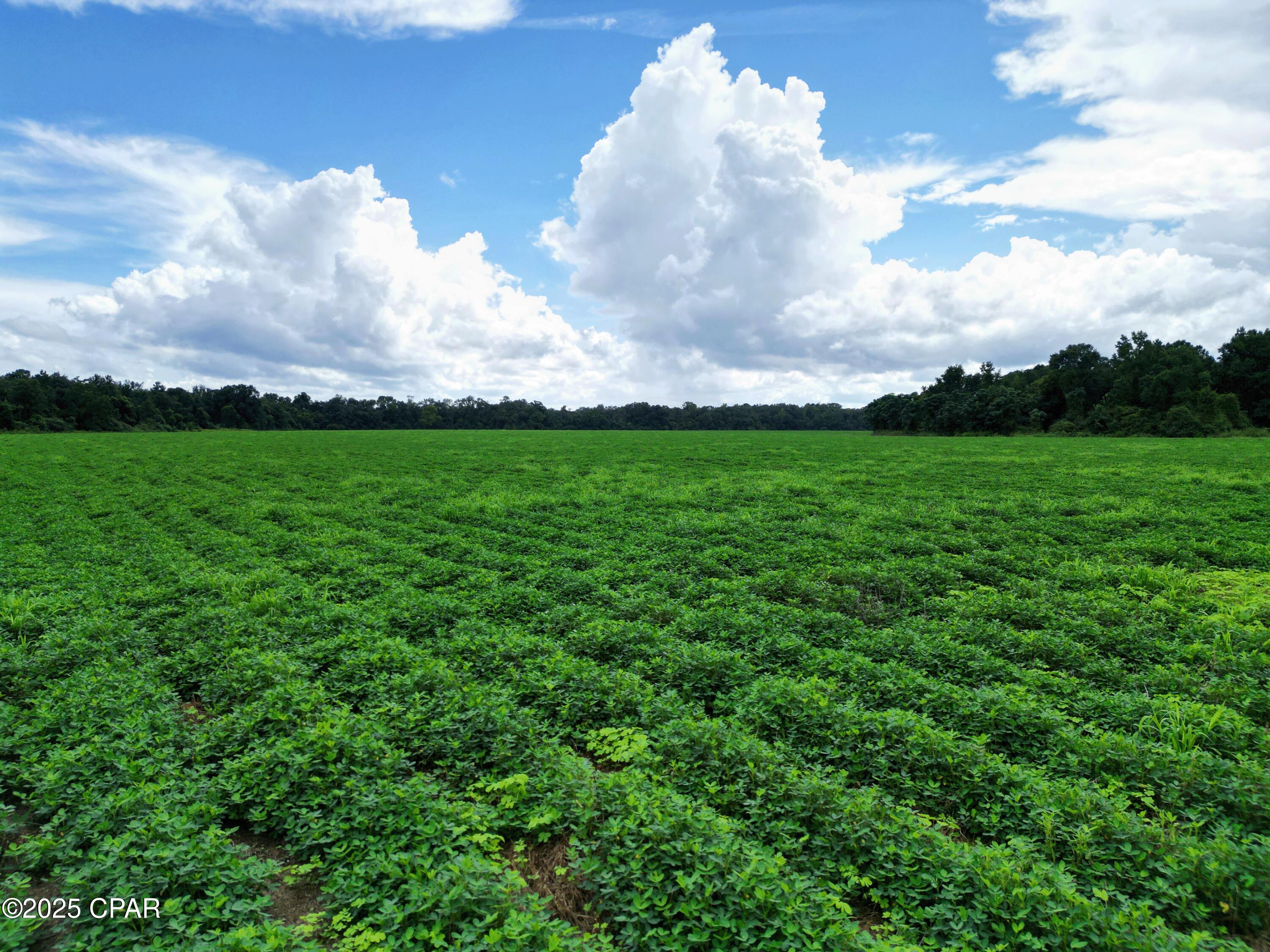 Image 8 For 0 Juniper Creek Road