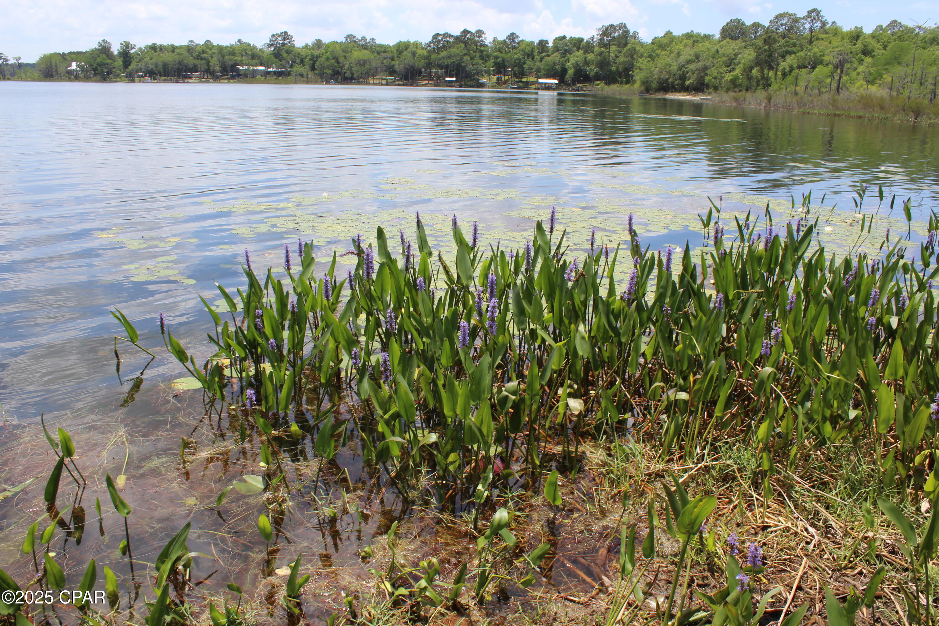 Image 11 For Lot 18 Arnone Lane