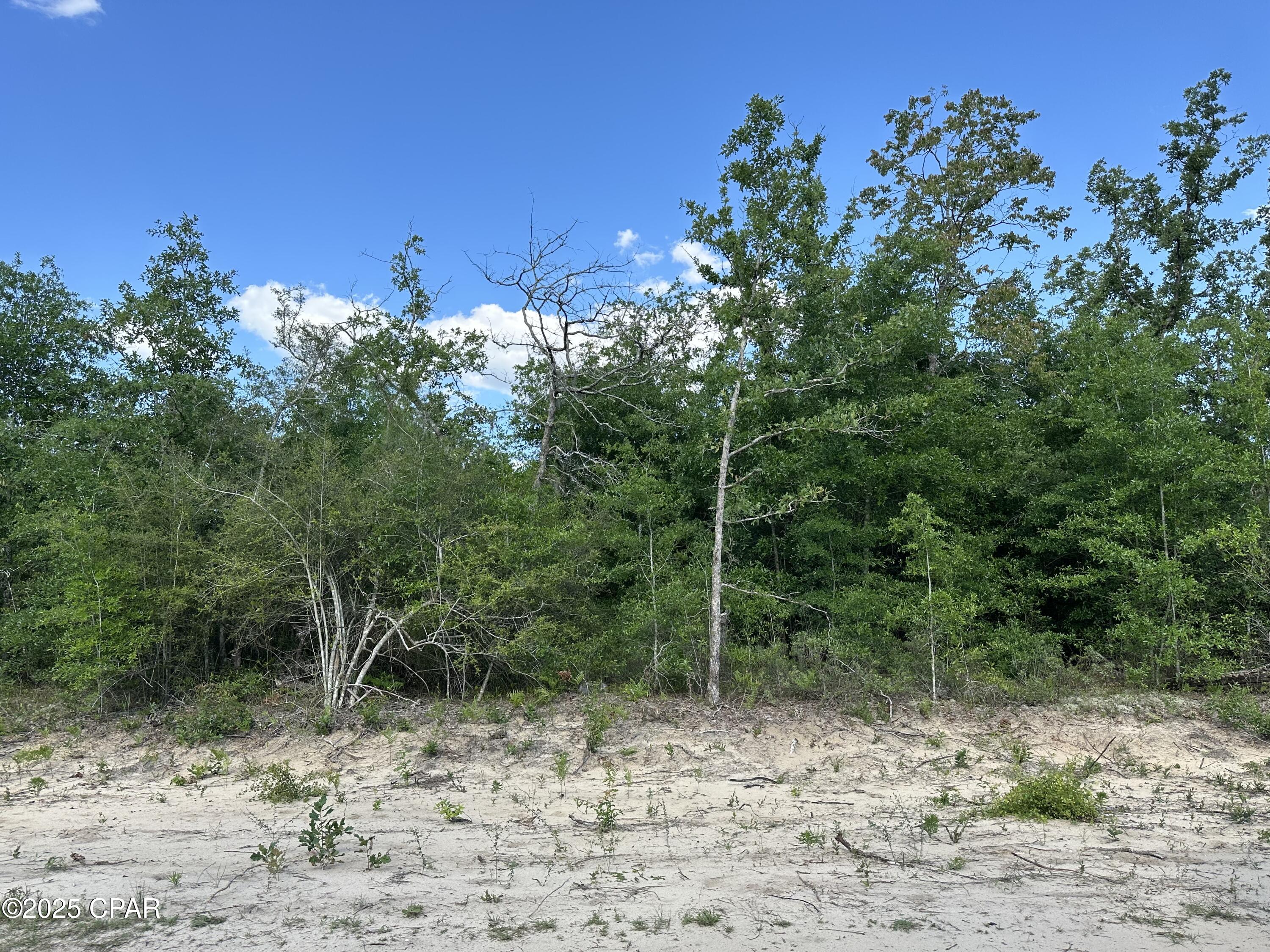 Image 4 For 0000 Lakeside Avenue