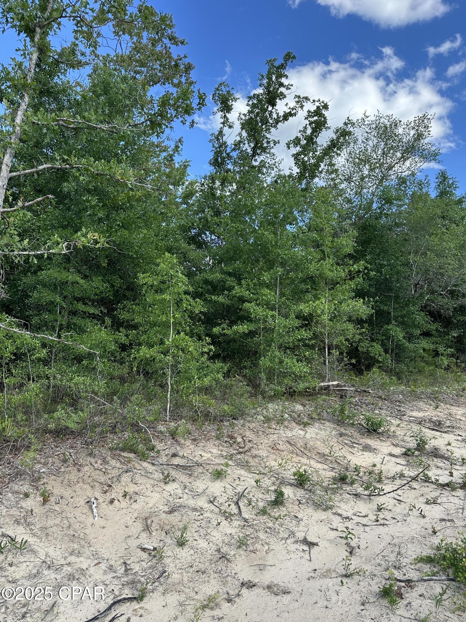 Image 5 For 0000 Lakeside Avenue