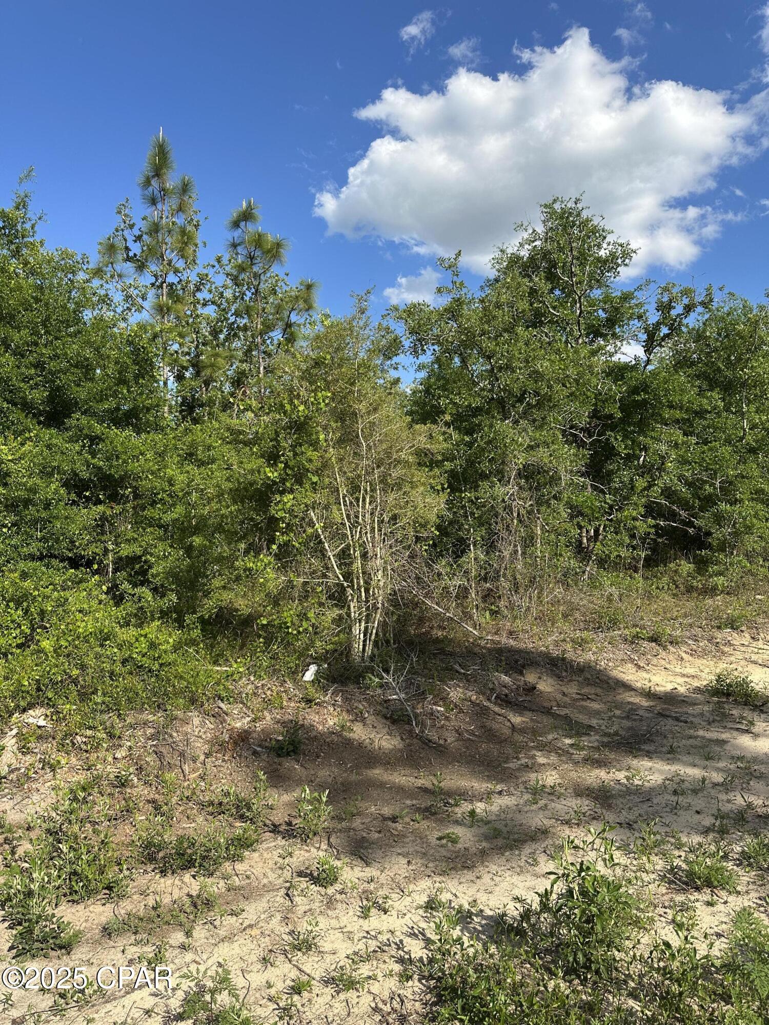 Image 6 For 0000 Lakeside Avenue