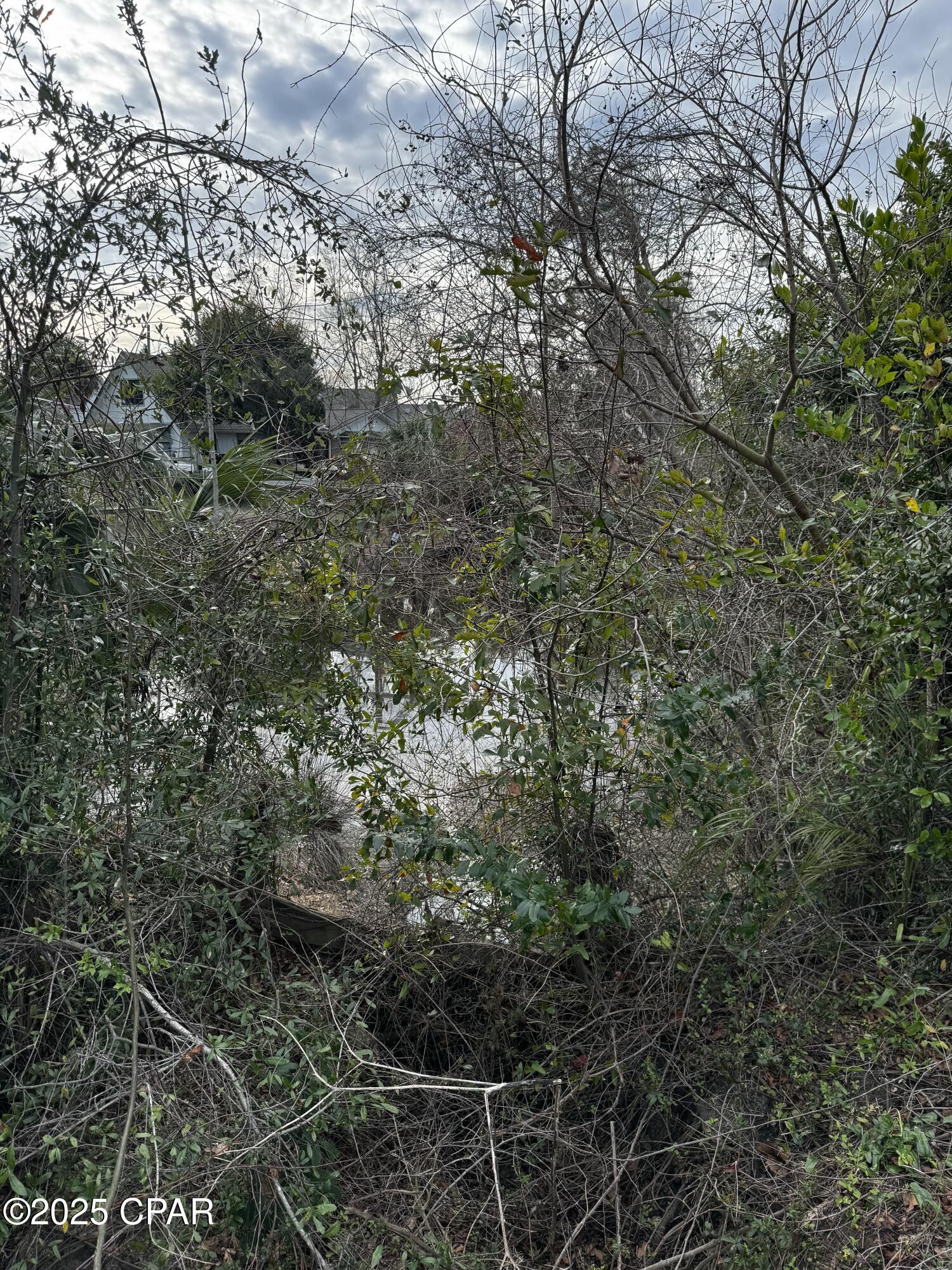 Image 6 For 2137 Briawood Circle