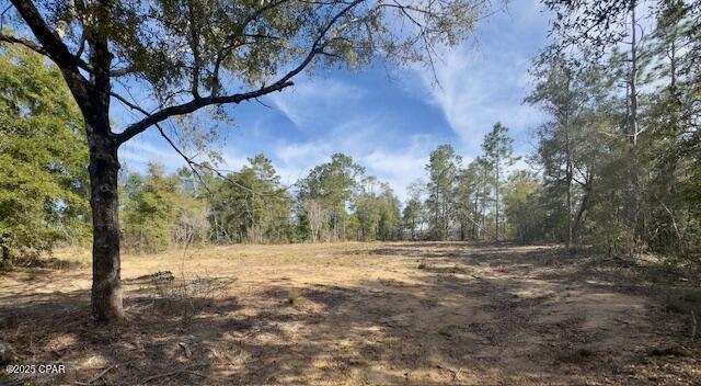 Details for Lot #19 Paradise Lakes Road, Chipley, FL 32428
