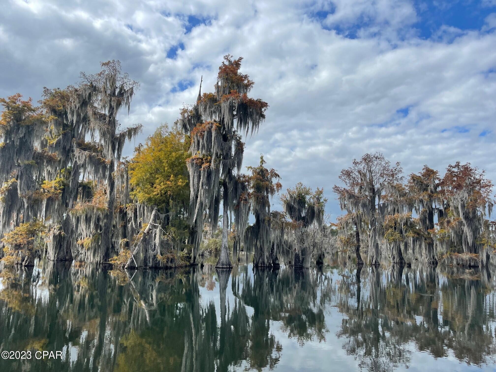 Image 3 For 5320 Indian Bluff Drive