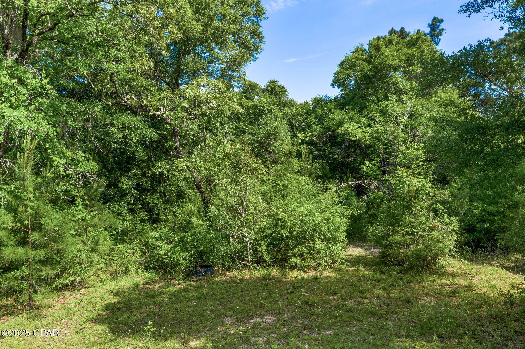 Image 7 For 3100 Alhambra Drive