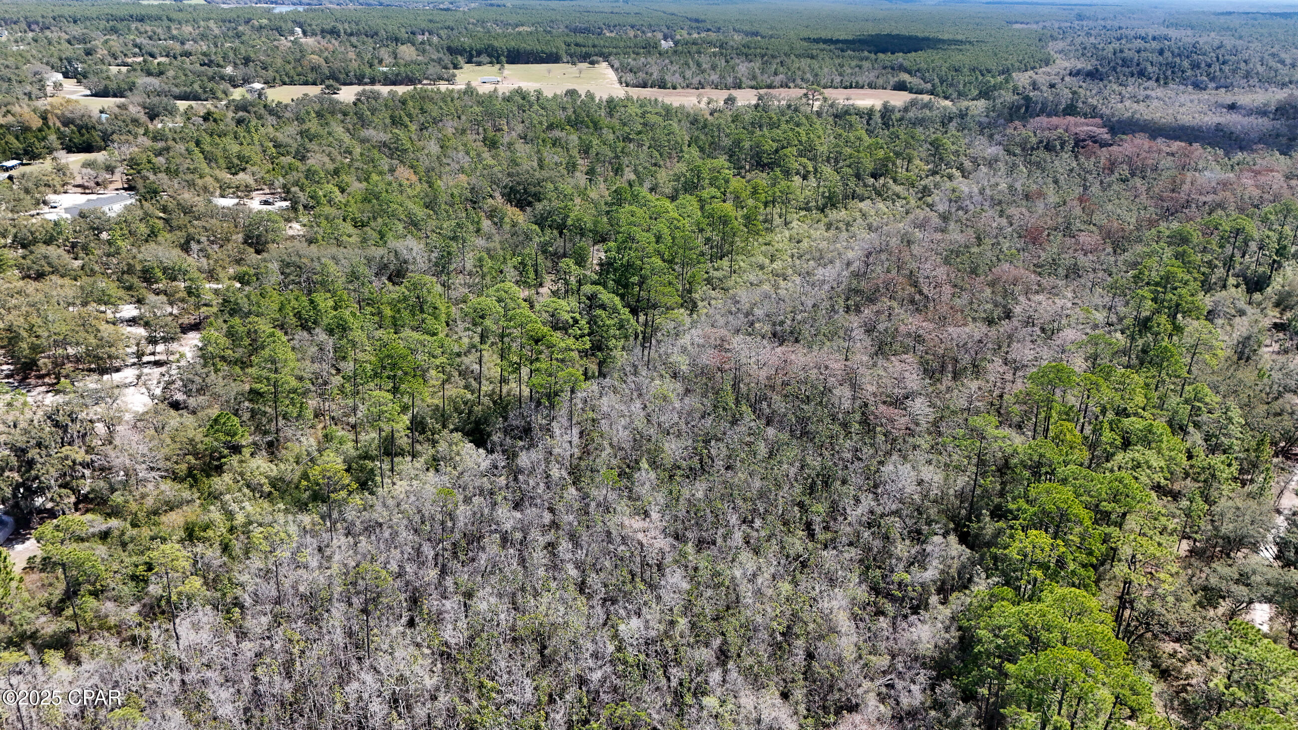 Image 11 For 0000 Woodland Road