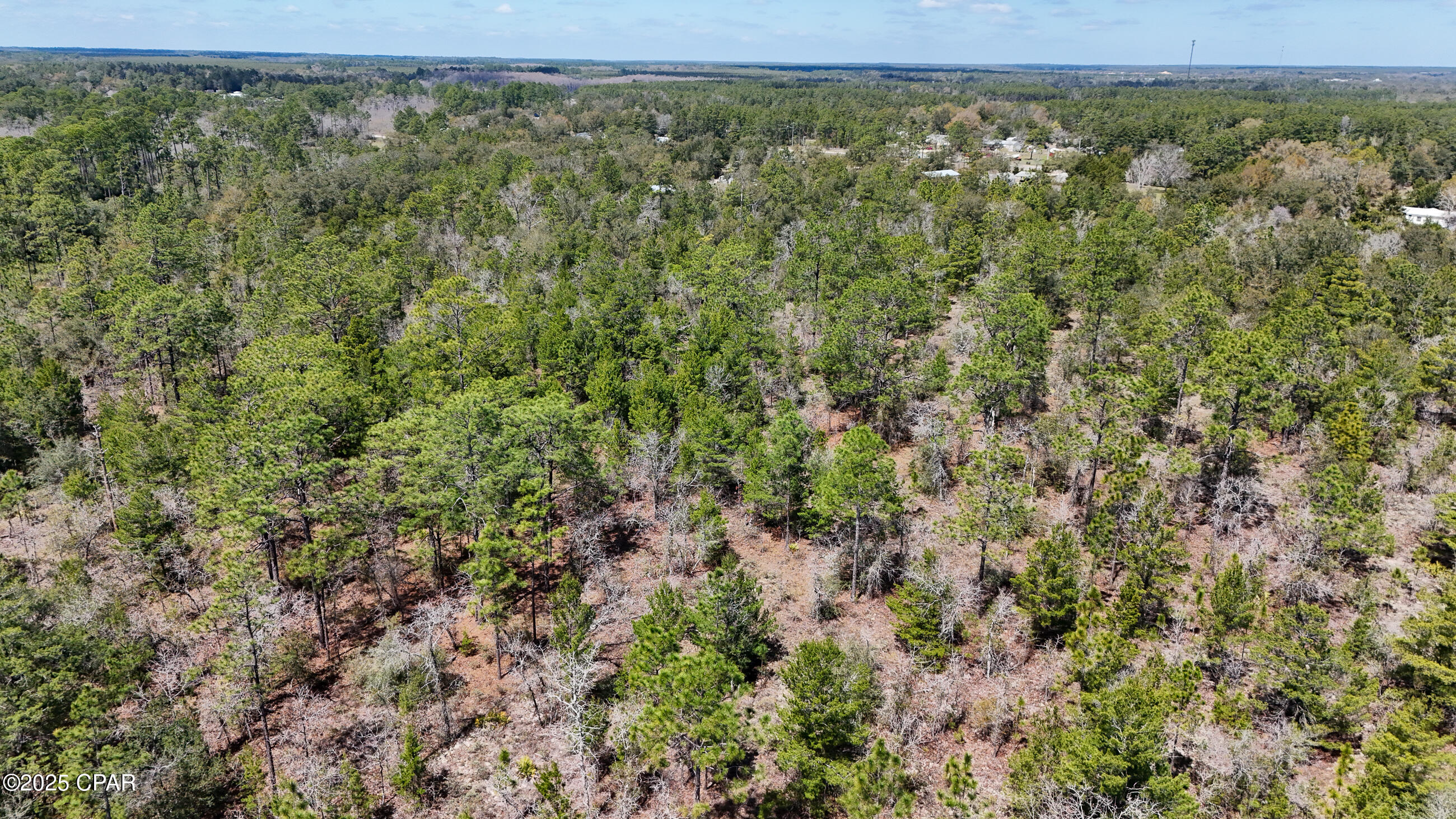 Image 4 For 0000 Woodland Road