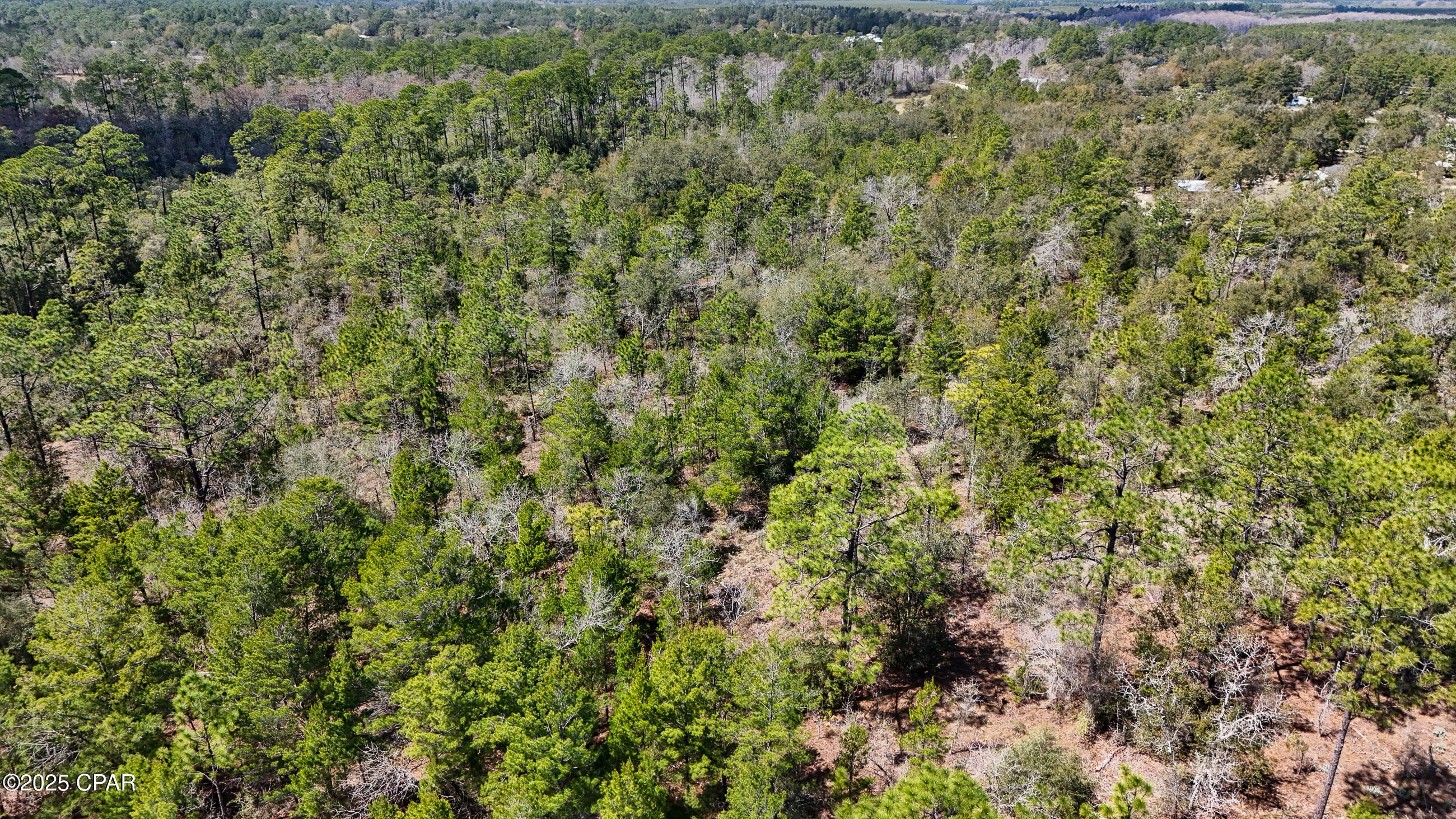 Image 5 For 0000 Woodland Road