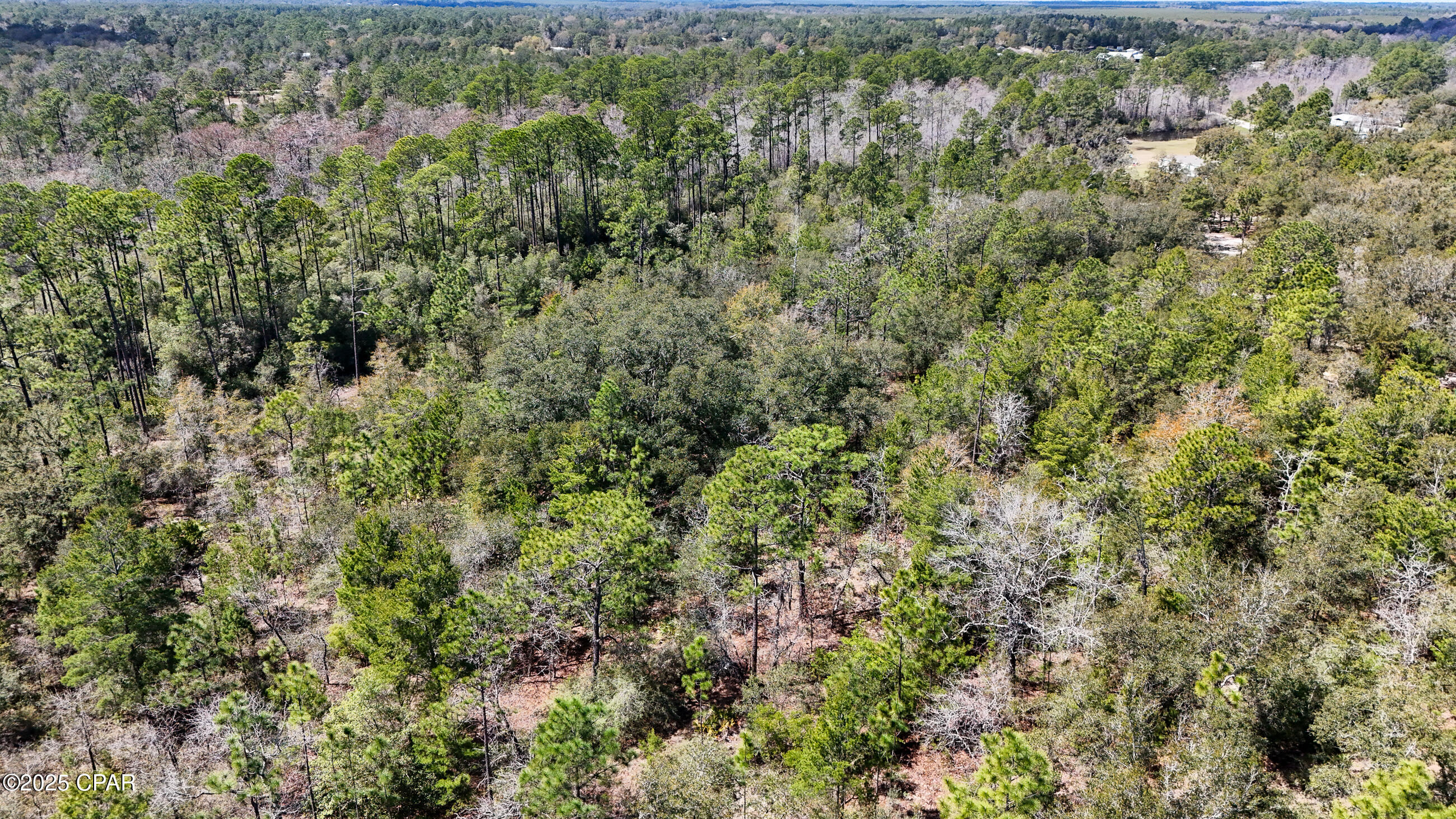 Image 6 For 0000 Woodland Road