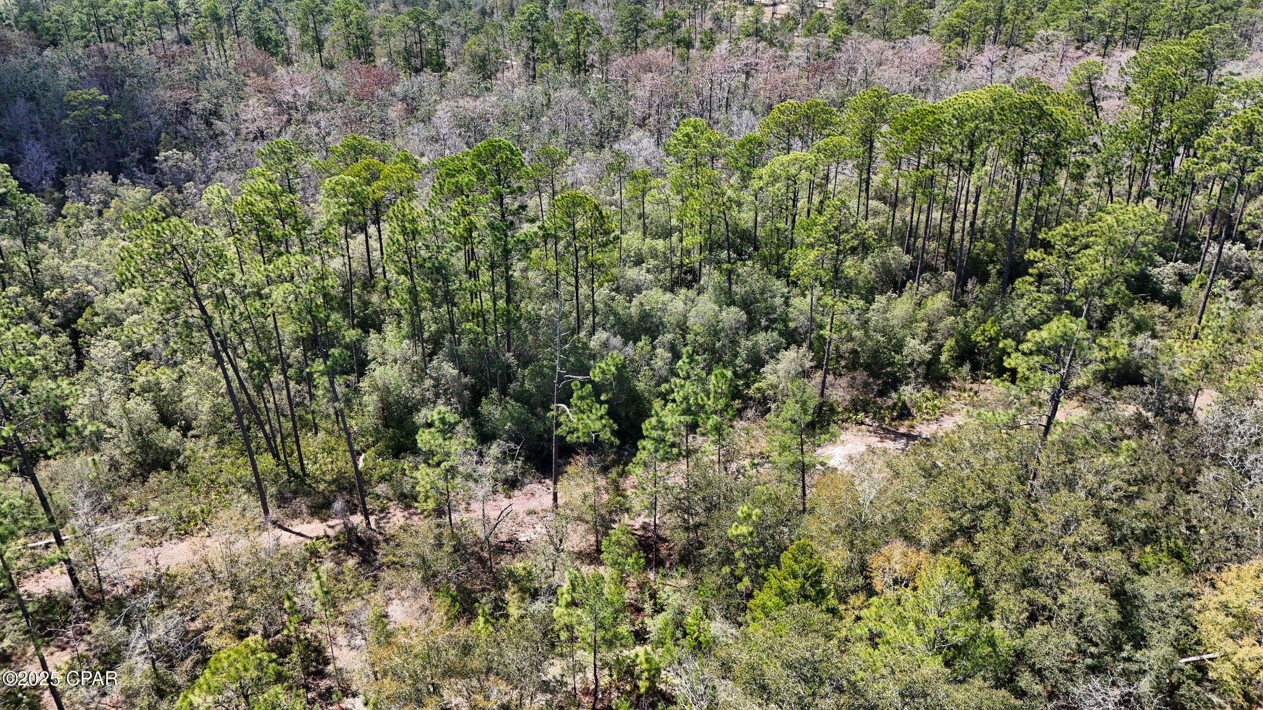 Image 7 For 0000 Woodland Road