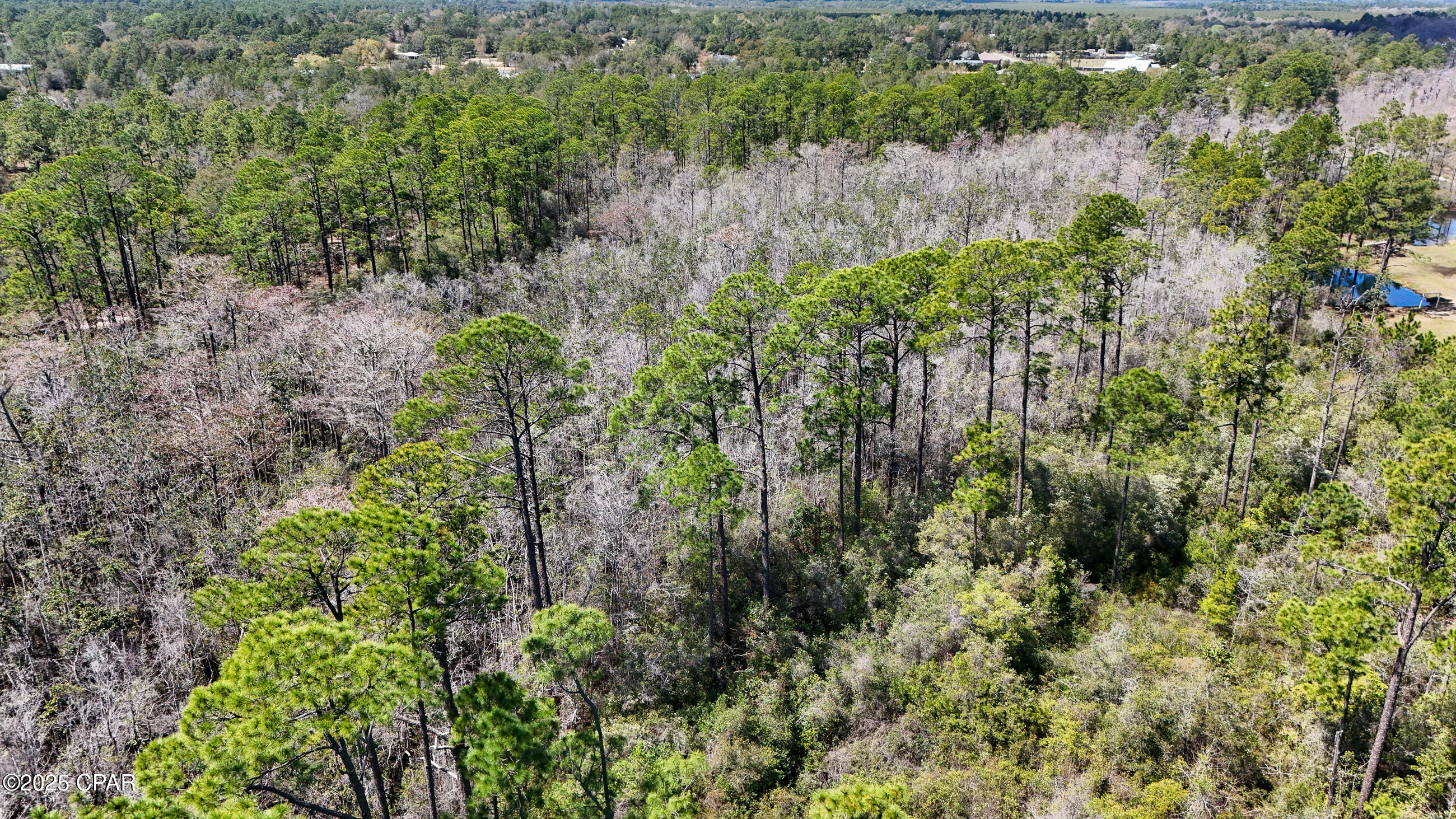 Image 8 For 0000 Woodland Road