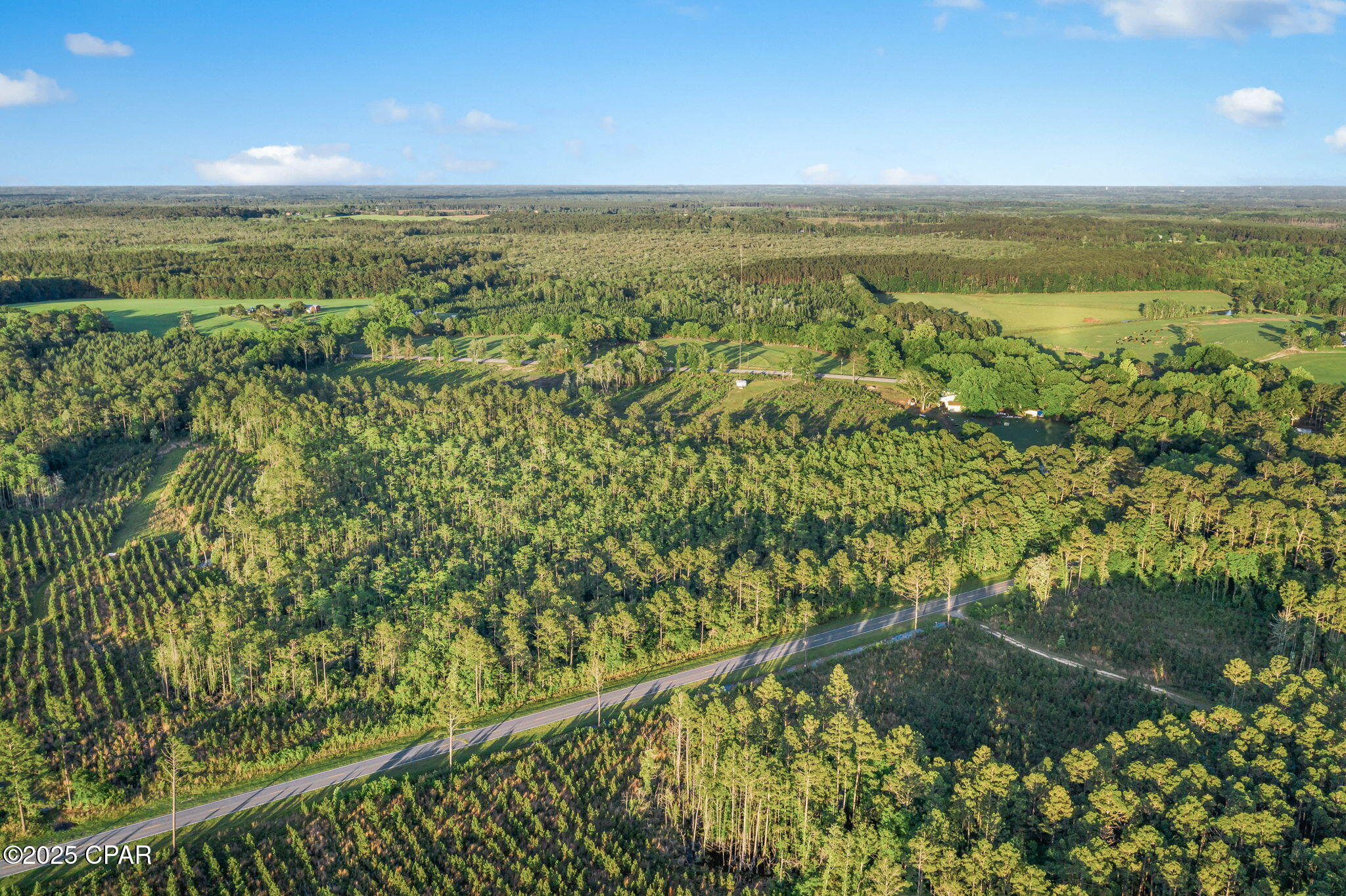 Image 12 For Xxx Cr 177  Lot 2