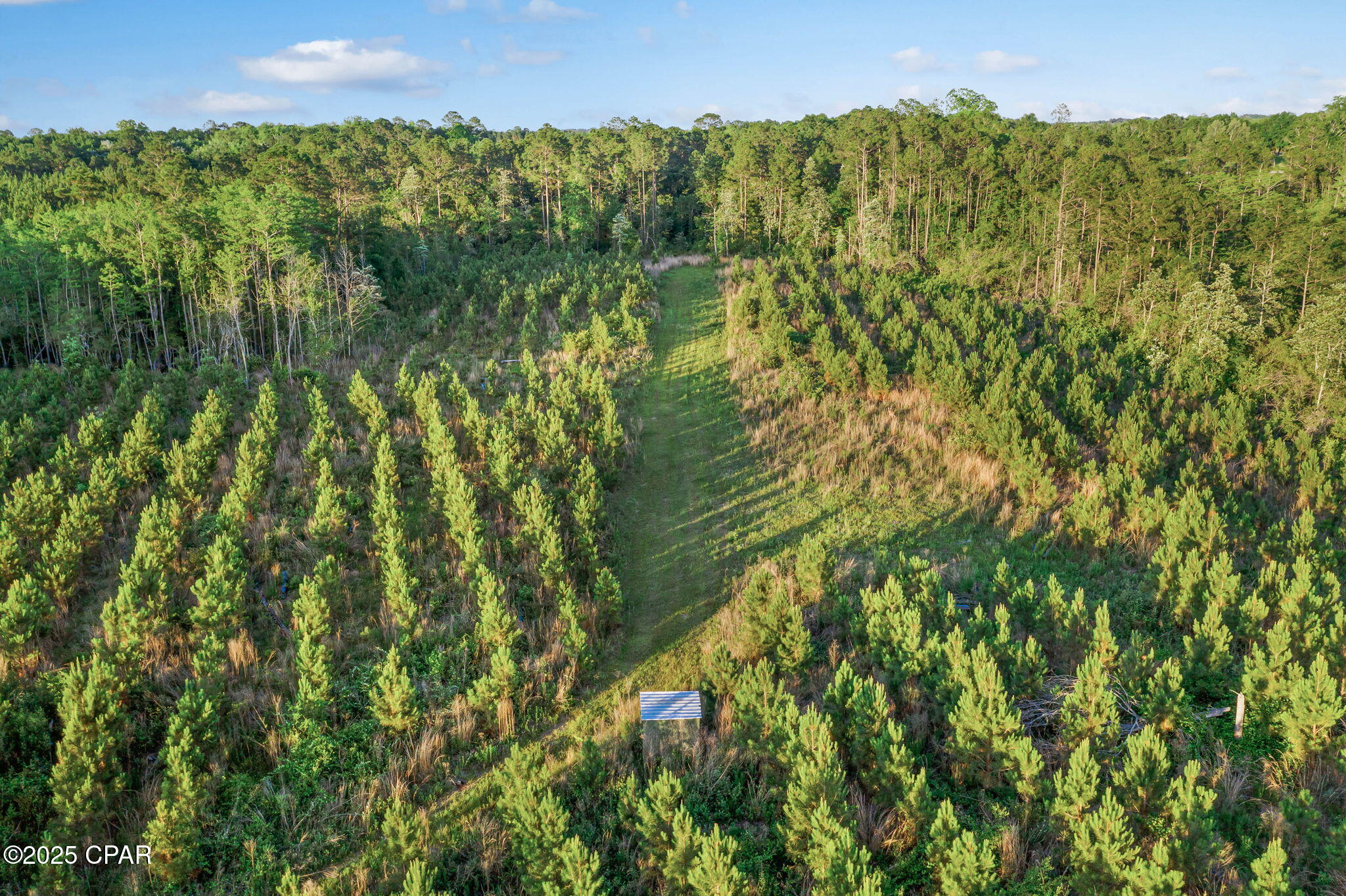 Image 15 For Xxx Cr 177  Lot 2