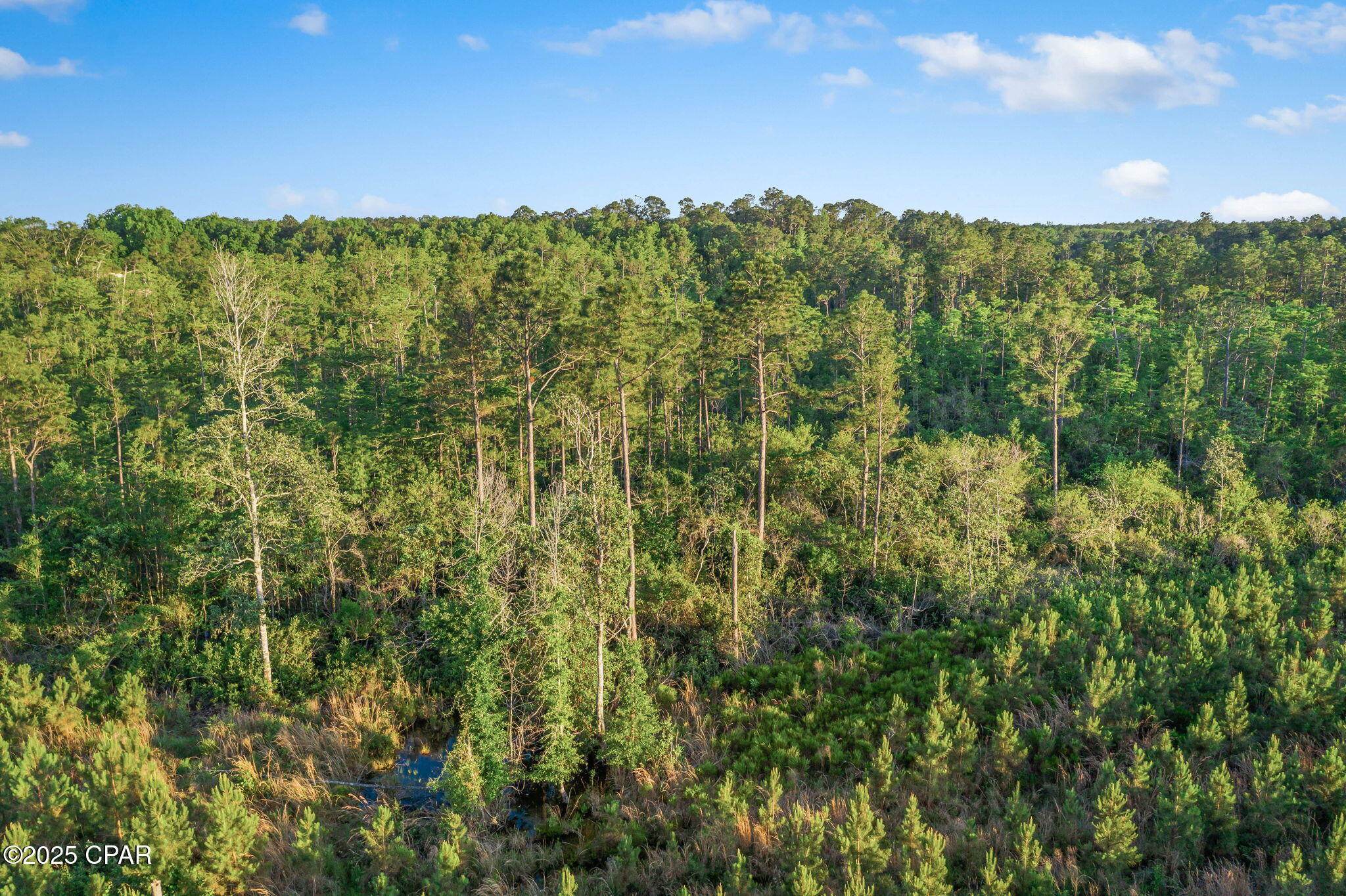 Image 16 For Xxx Cr 177  Lot 2