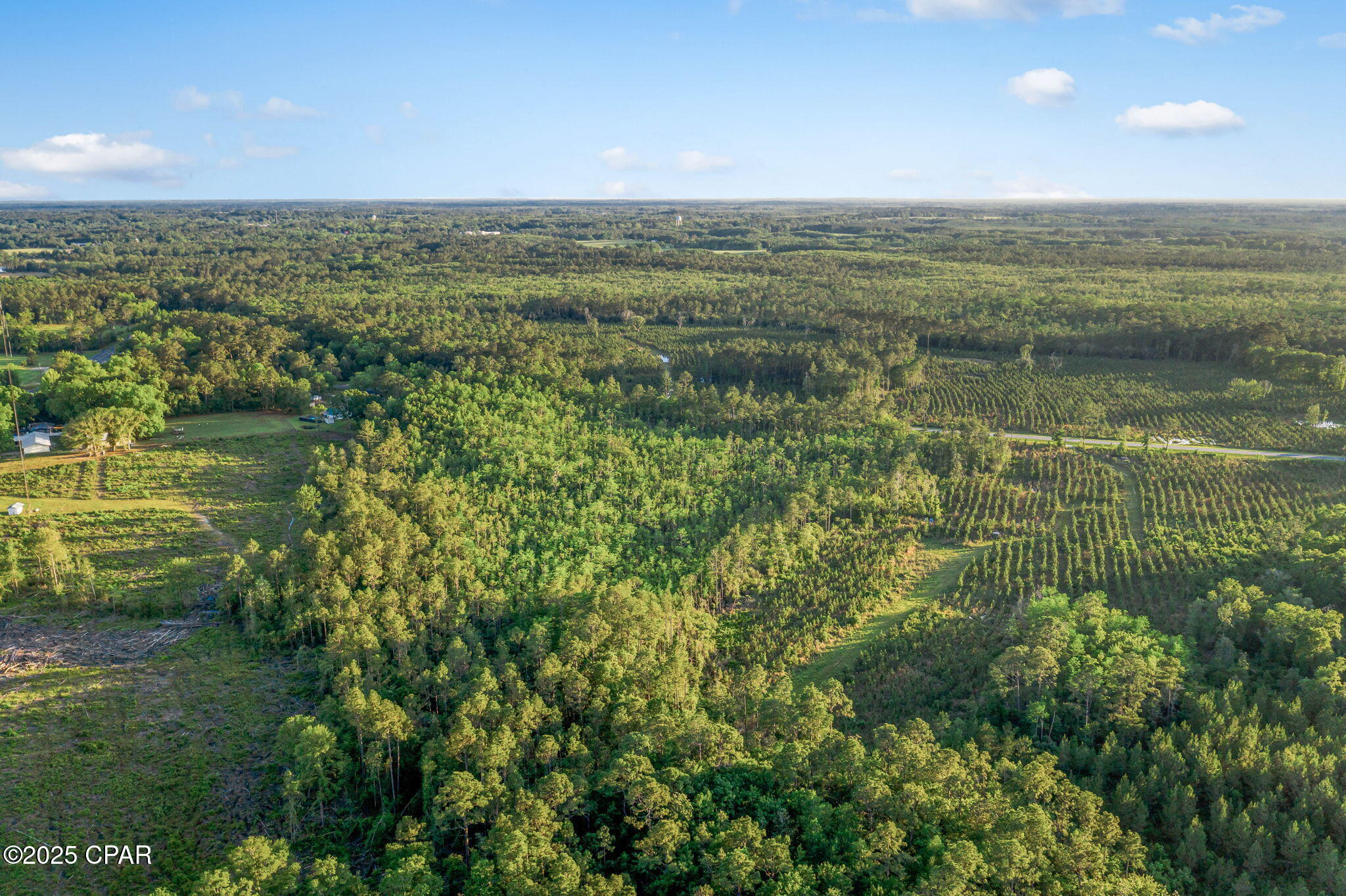 Image 8 For Xxx Cr 177  Lot 2