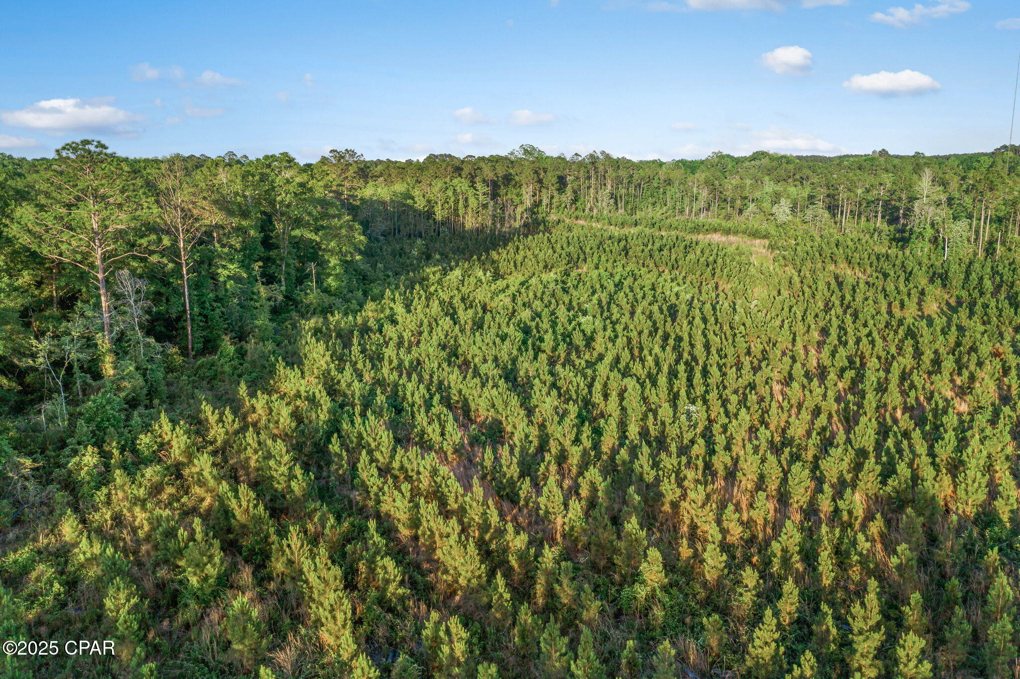 Image 11 For Xxx Cr 177  Lot 1