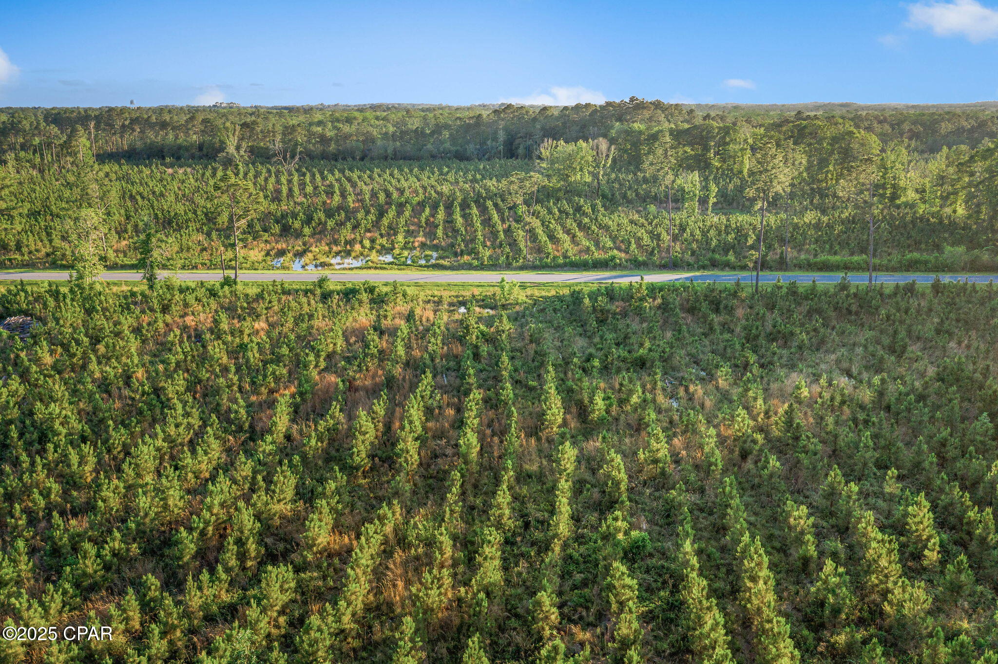 Image 12 For Xxx Cr 177  Lot 1