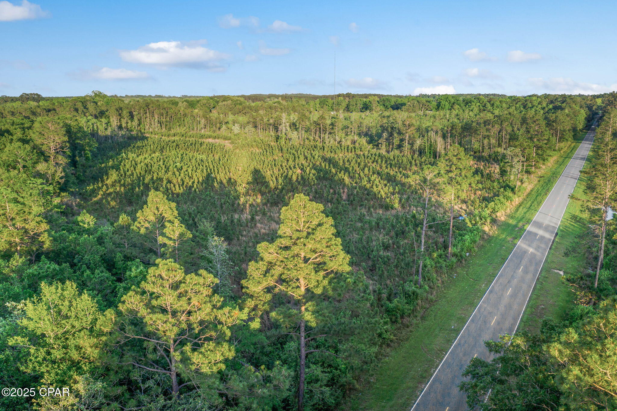 Image 2 For Xxx Cr 177  Lot 1