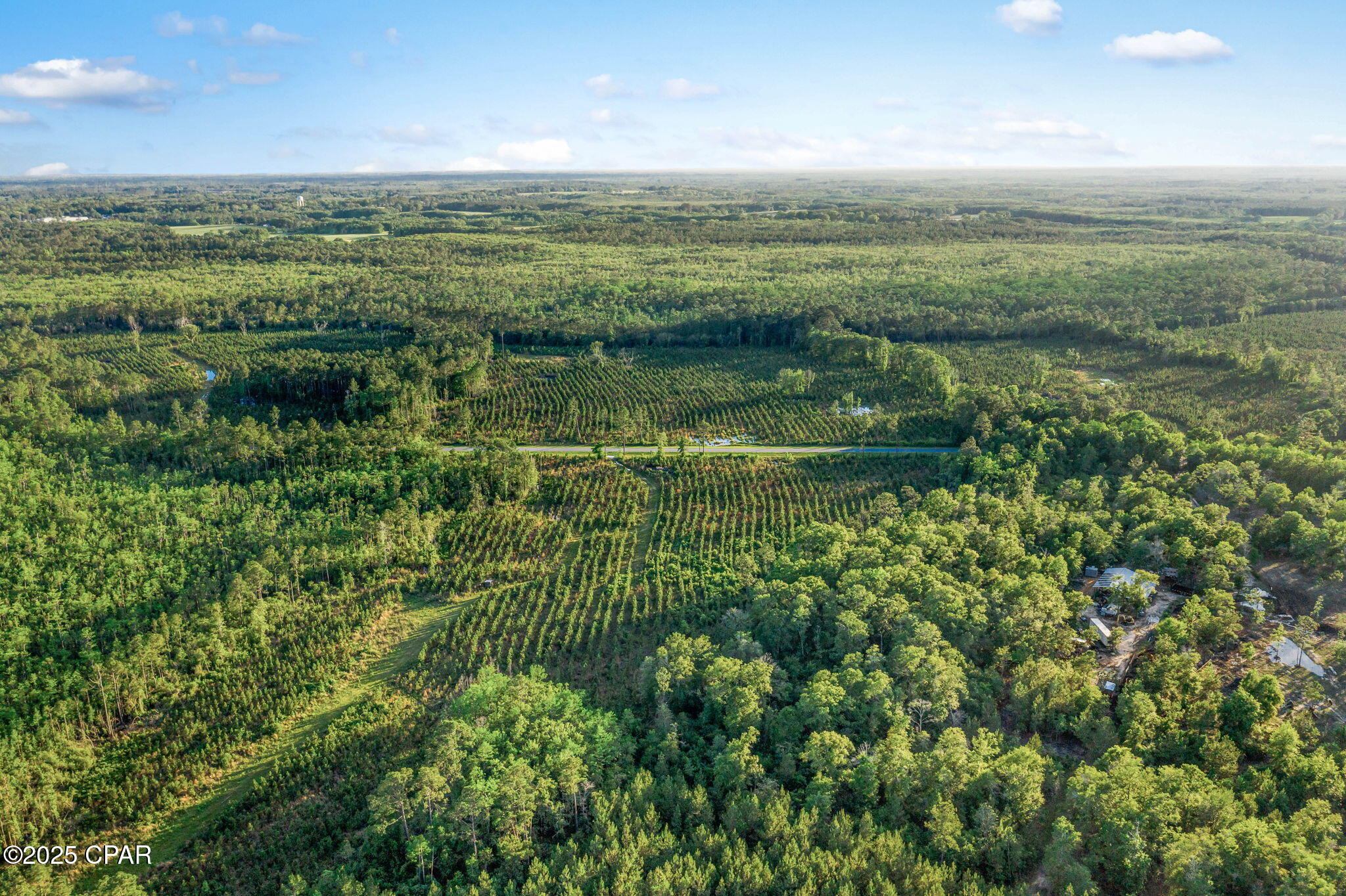 Image 6 For Xxx Cr 177  Lot 1