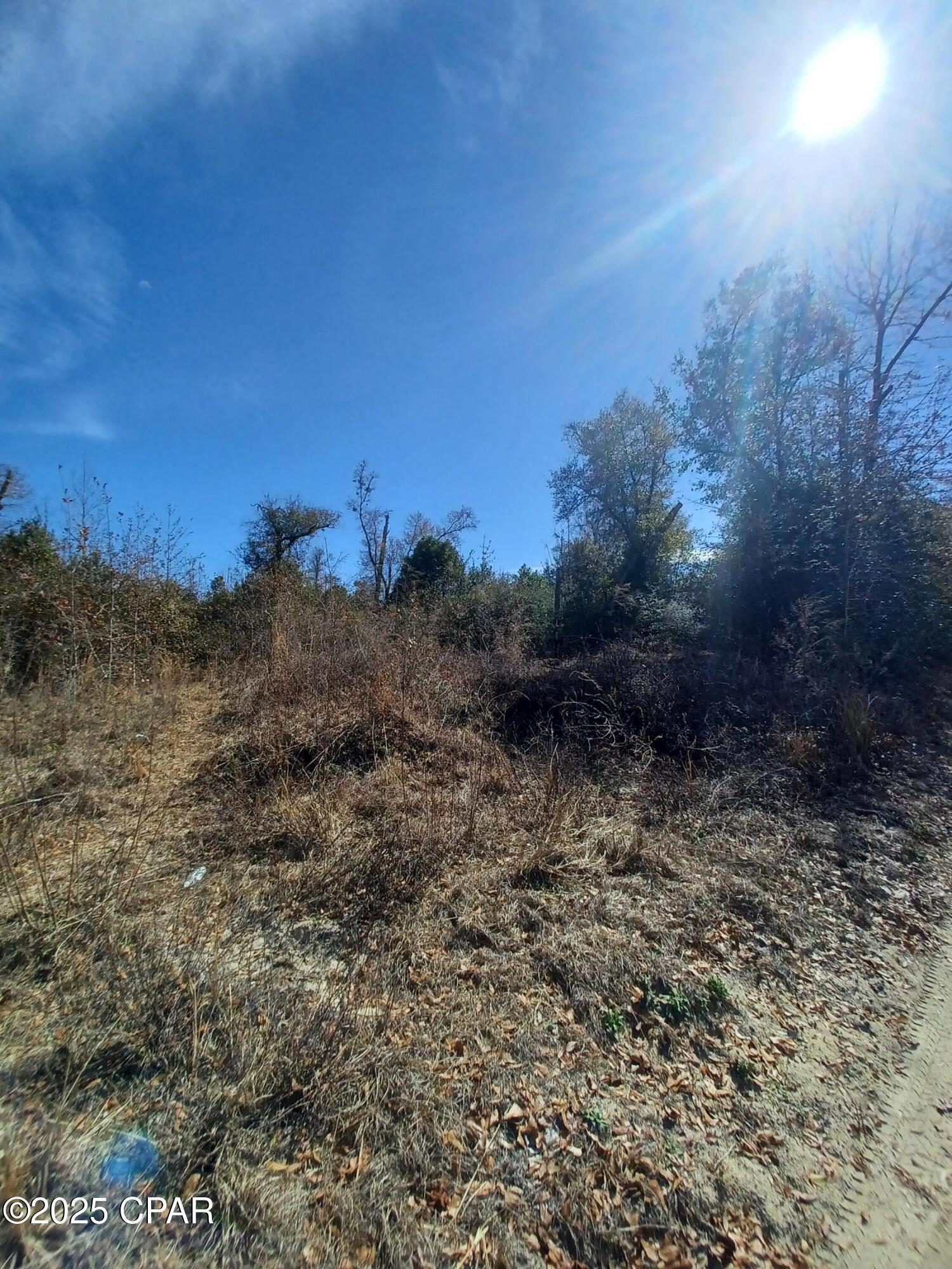 Image 3 For 5610 Dwan Lane