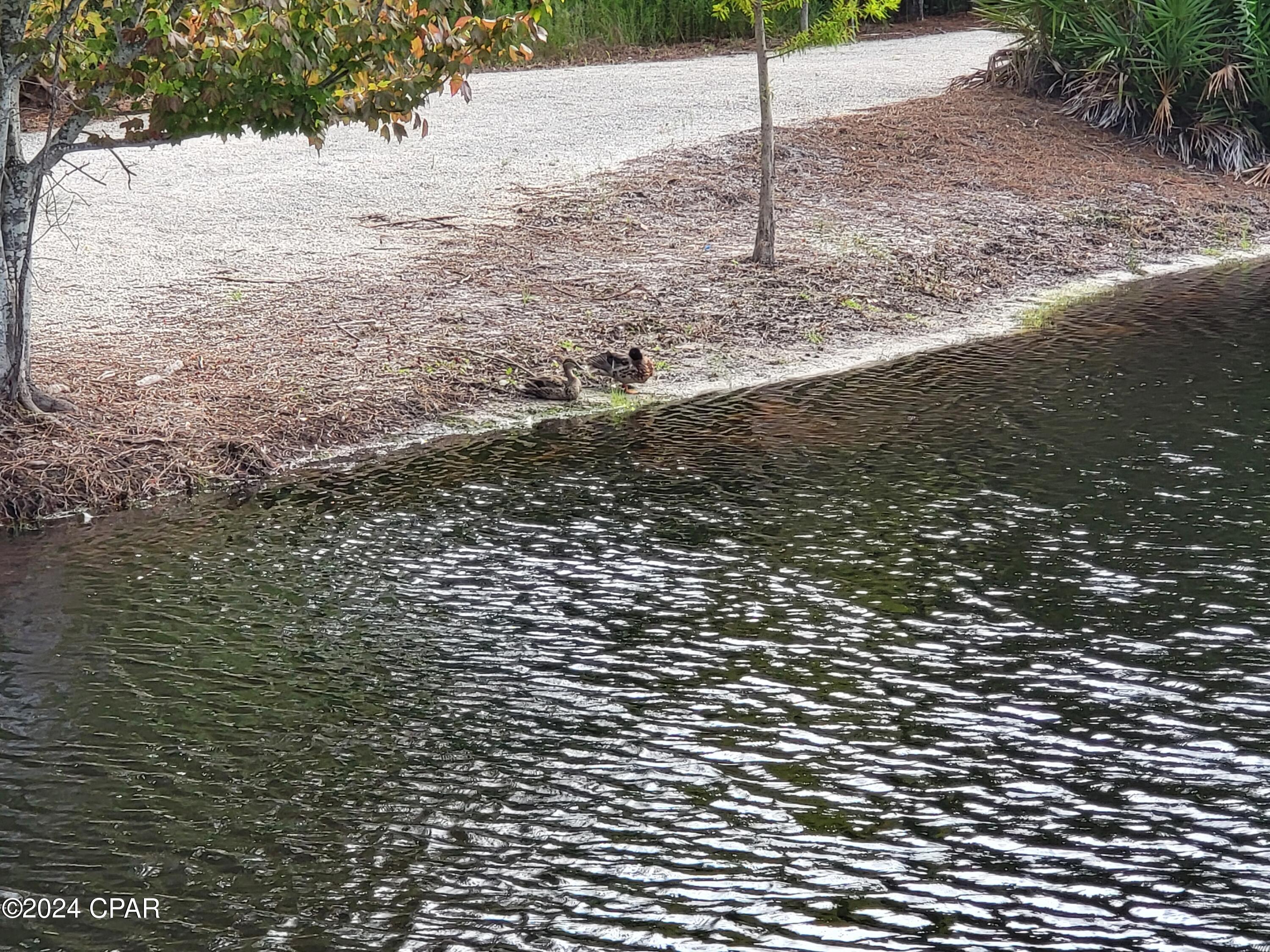 Image 10 For 3323 Green Turtle Lane