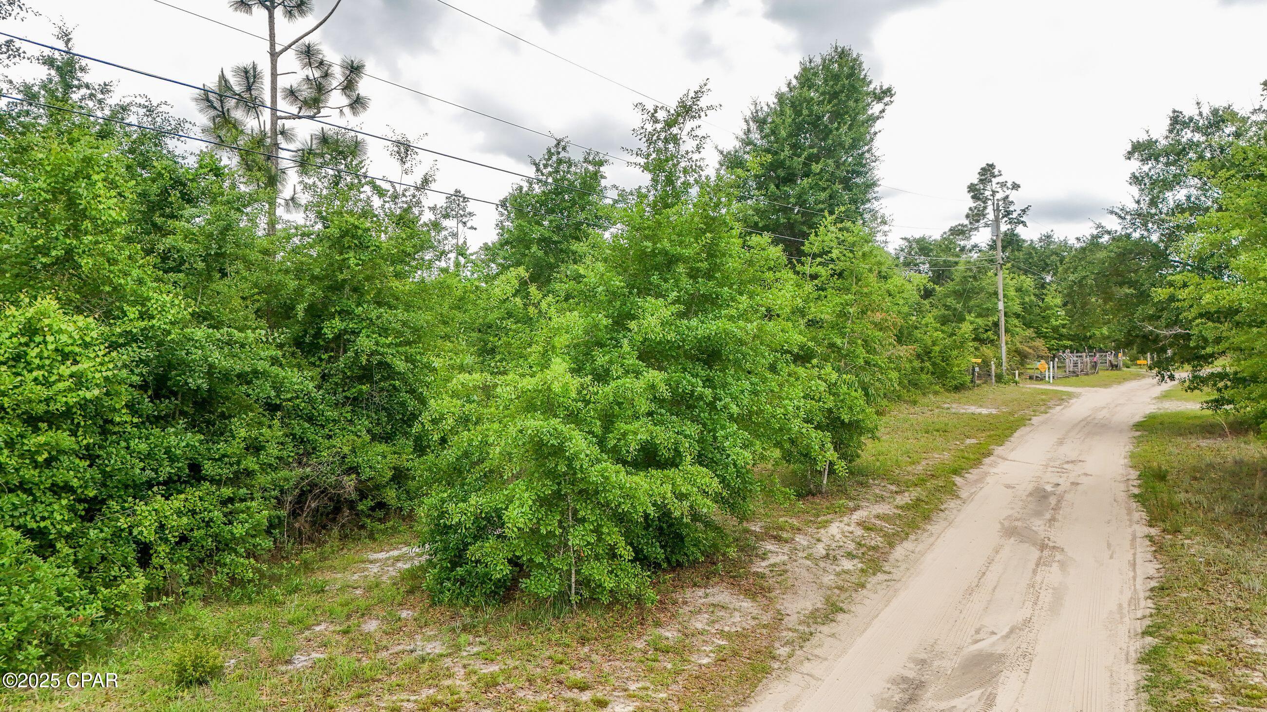 Image 6 For 000 Oakridge Lane