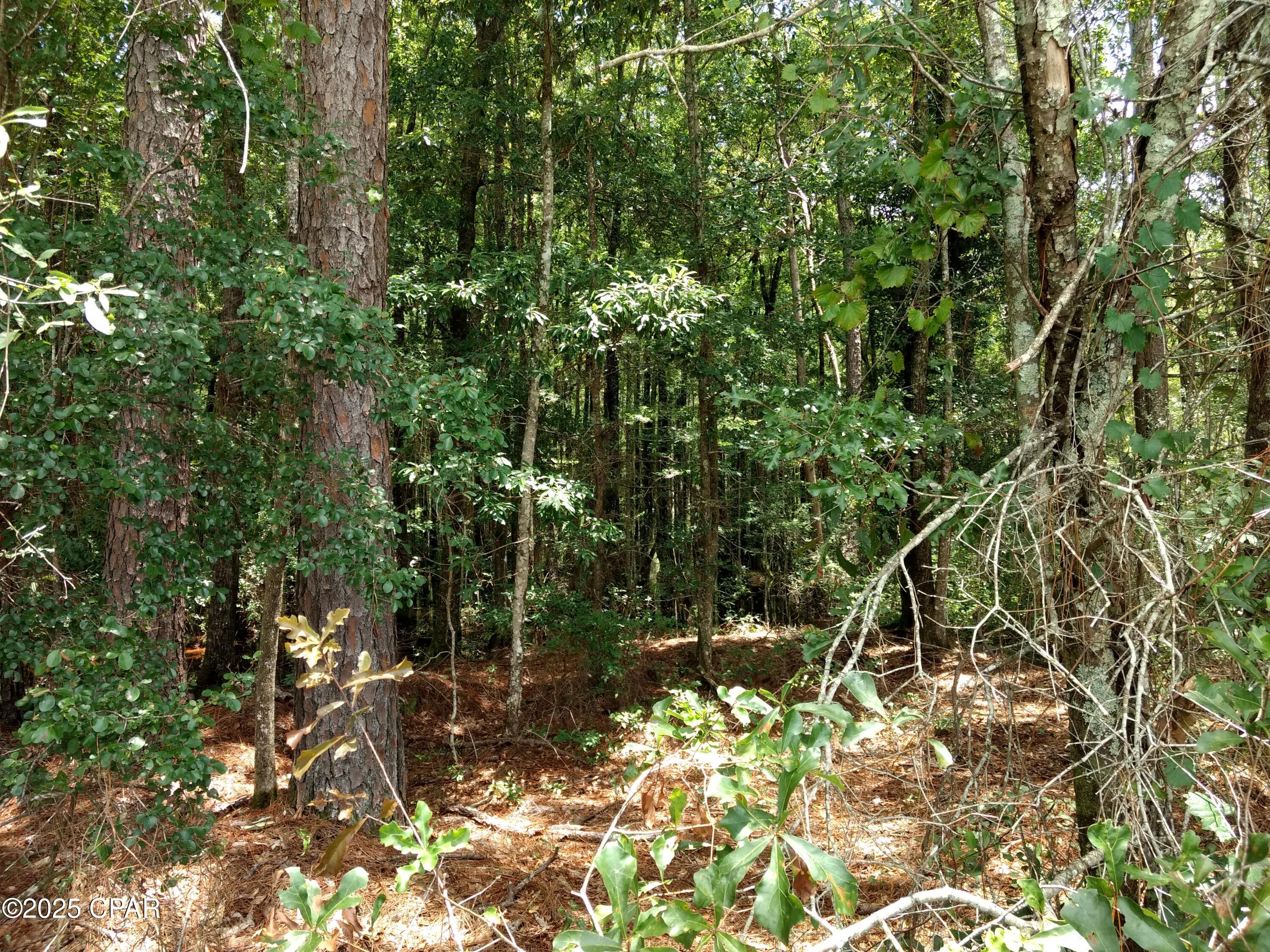 Details for Lot 29 Beech Drive, Westville, FL 32464