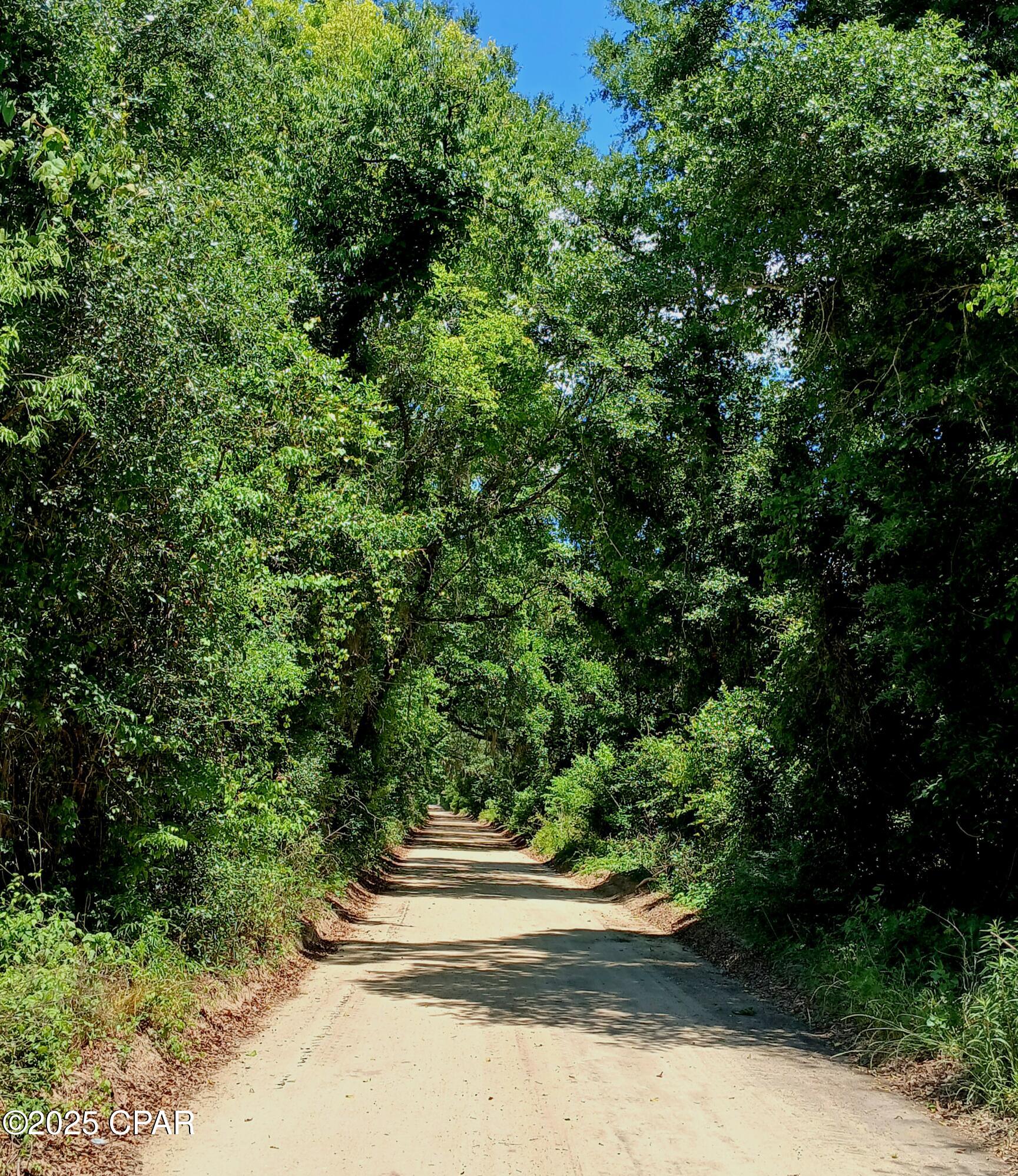 Details for Tbd Wolf Pond Road, Bascom, FL 32423