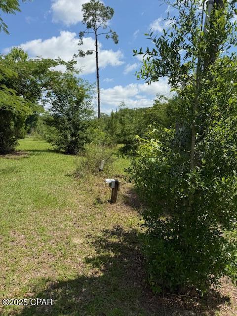 Image 74 For 2847 Adams Street