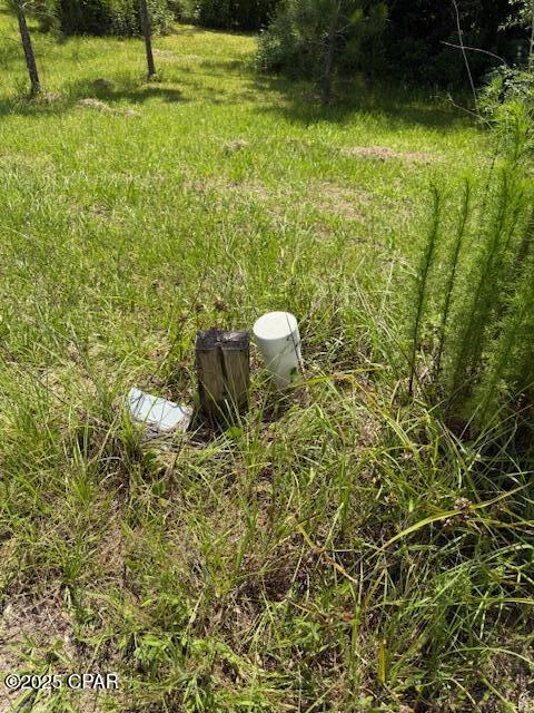 Image 78 For 2847 Adams Street