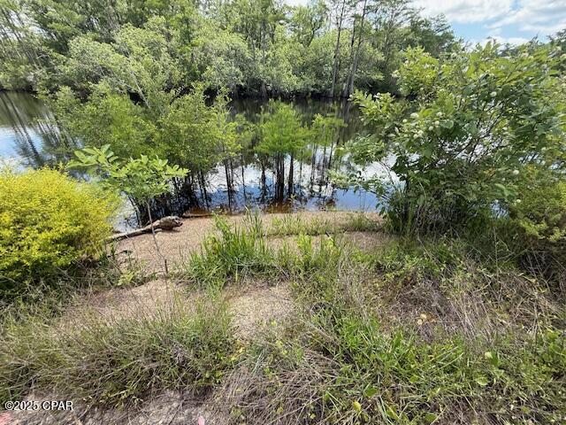 Image 87 For 2847 Adams Street